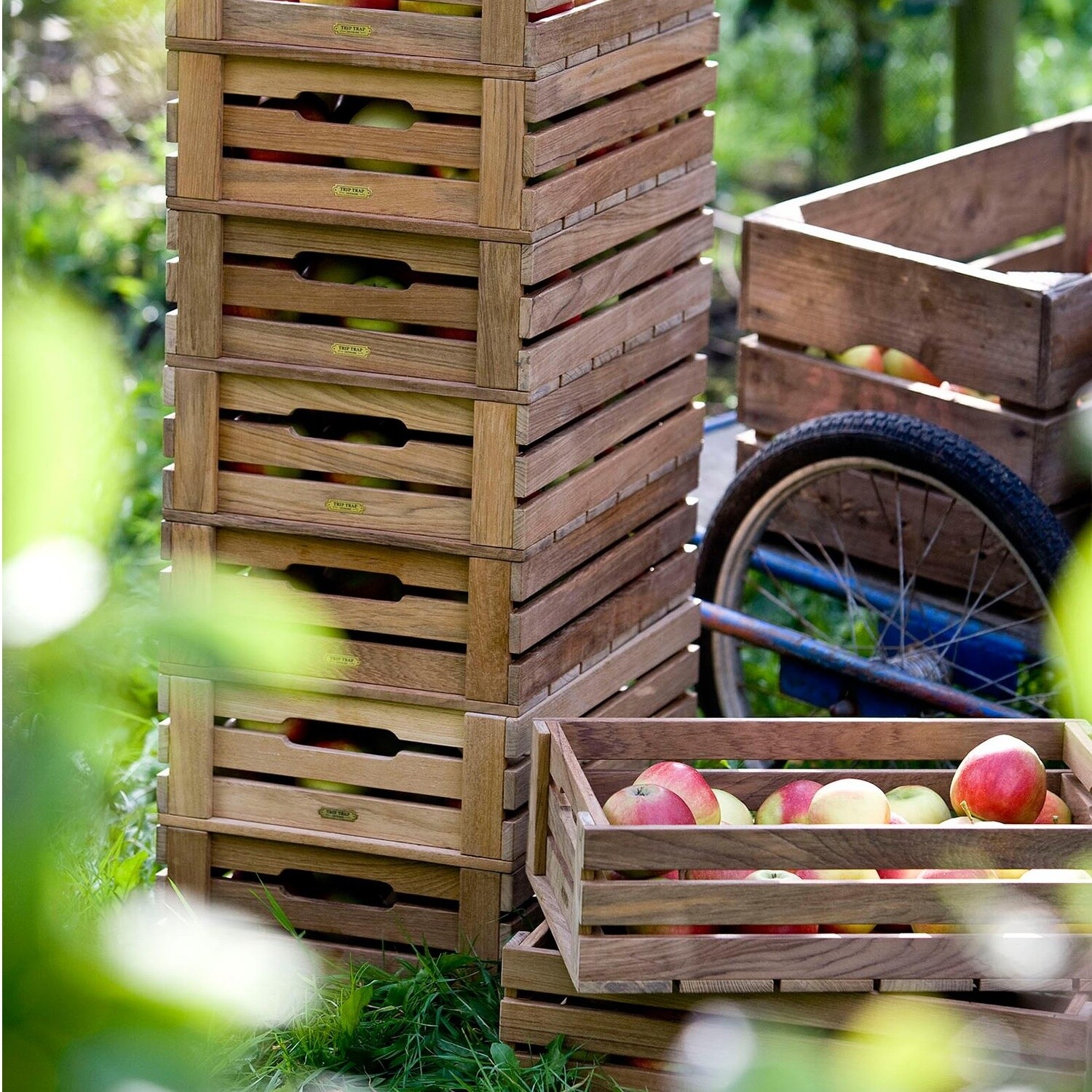 Skagerak Dania Apple Box/ Wooden Box 4