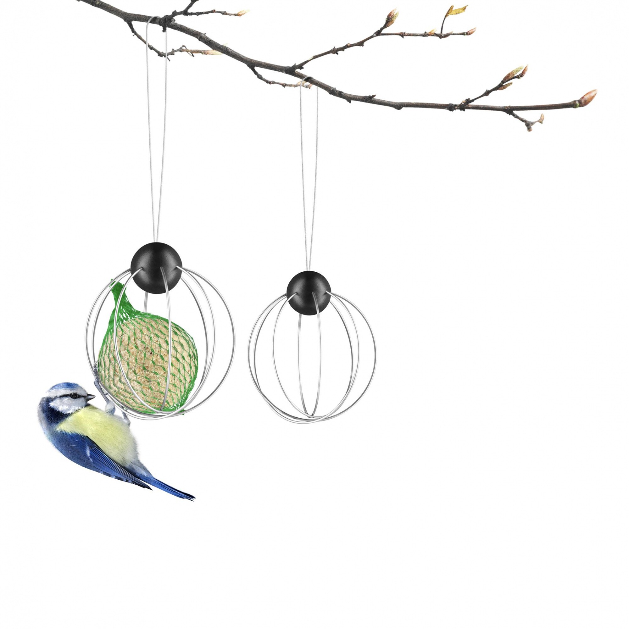 Suet bird feeder Set of 2