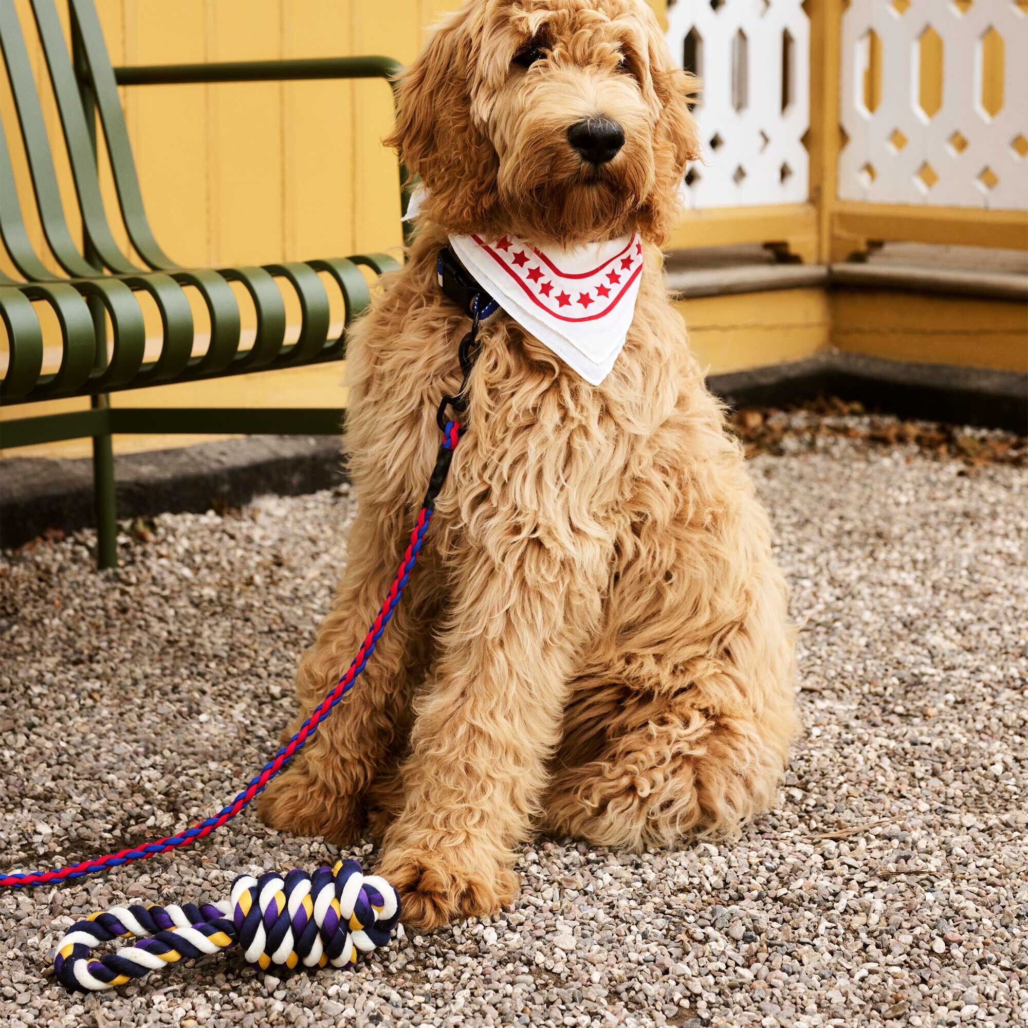 Rope Dog Toy