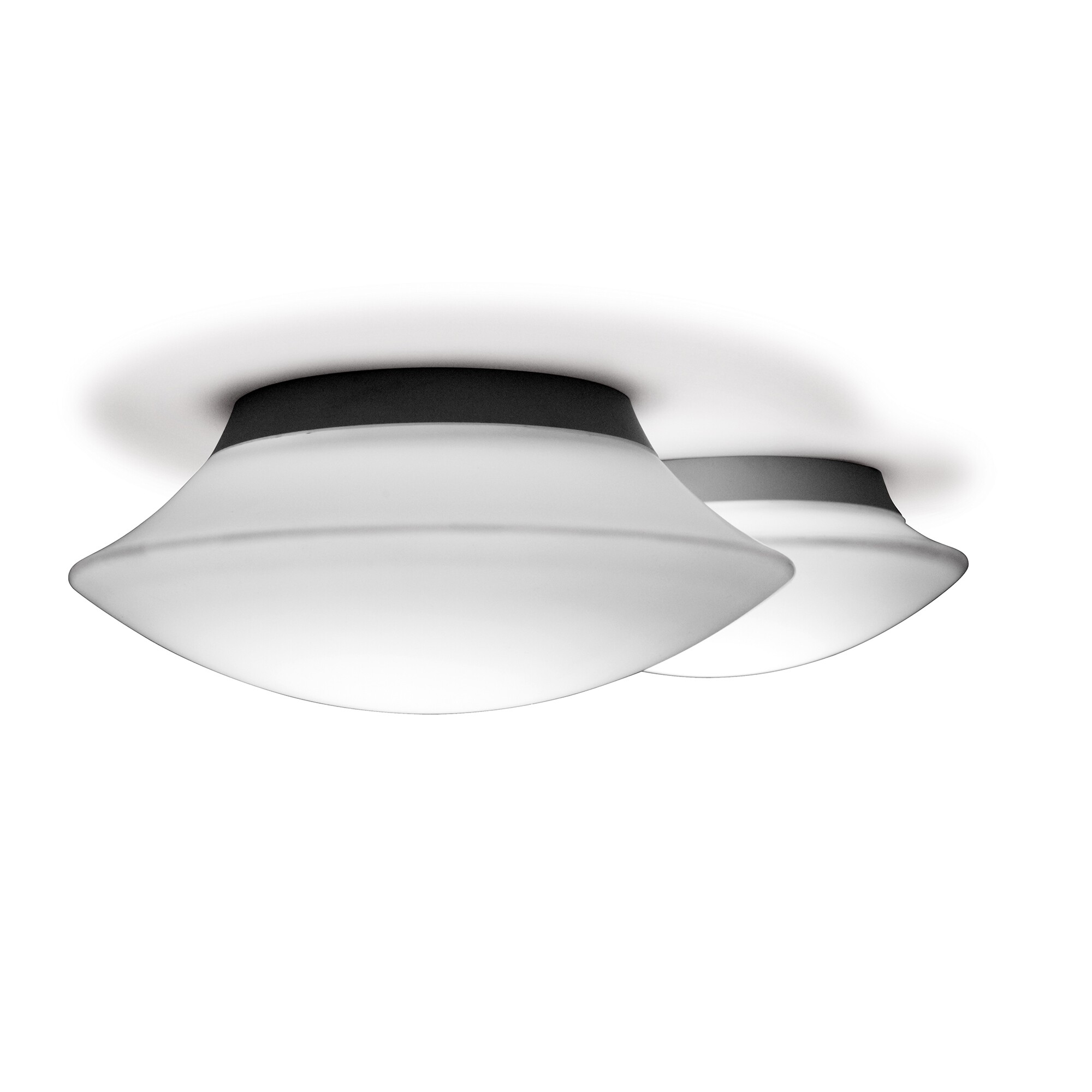 Puck Wall/ Ceiling Lamp