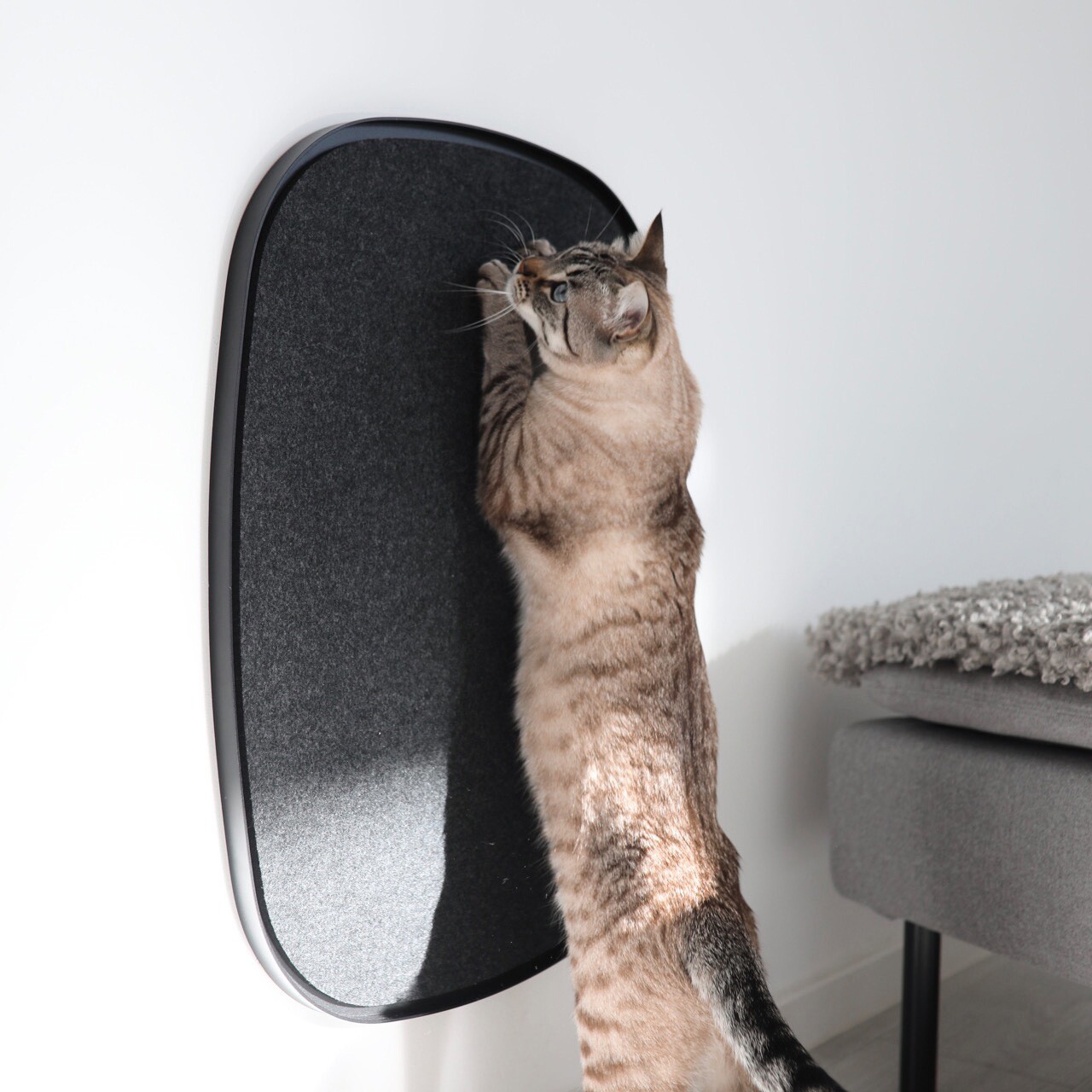 Pannello Scratch Panel