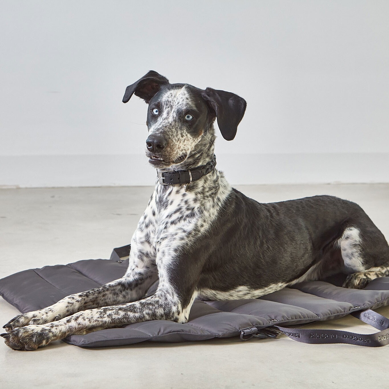 Strada travelBed Dog Bed M