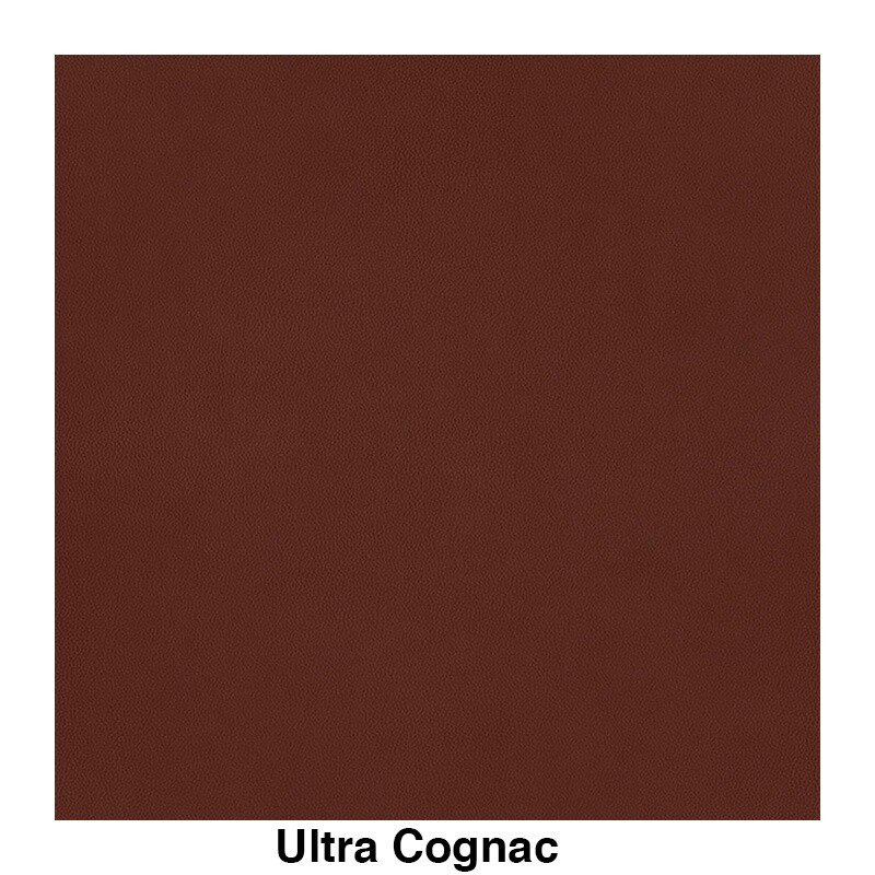 Shell Chair Black Oak