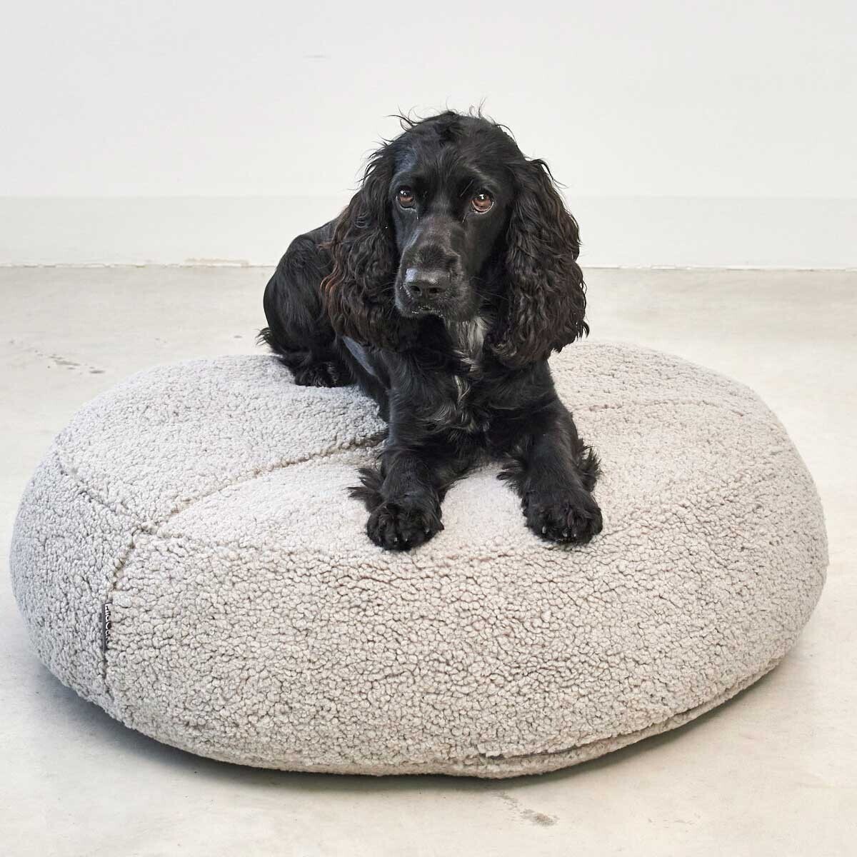 Senso Dog Pouf SM