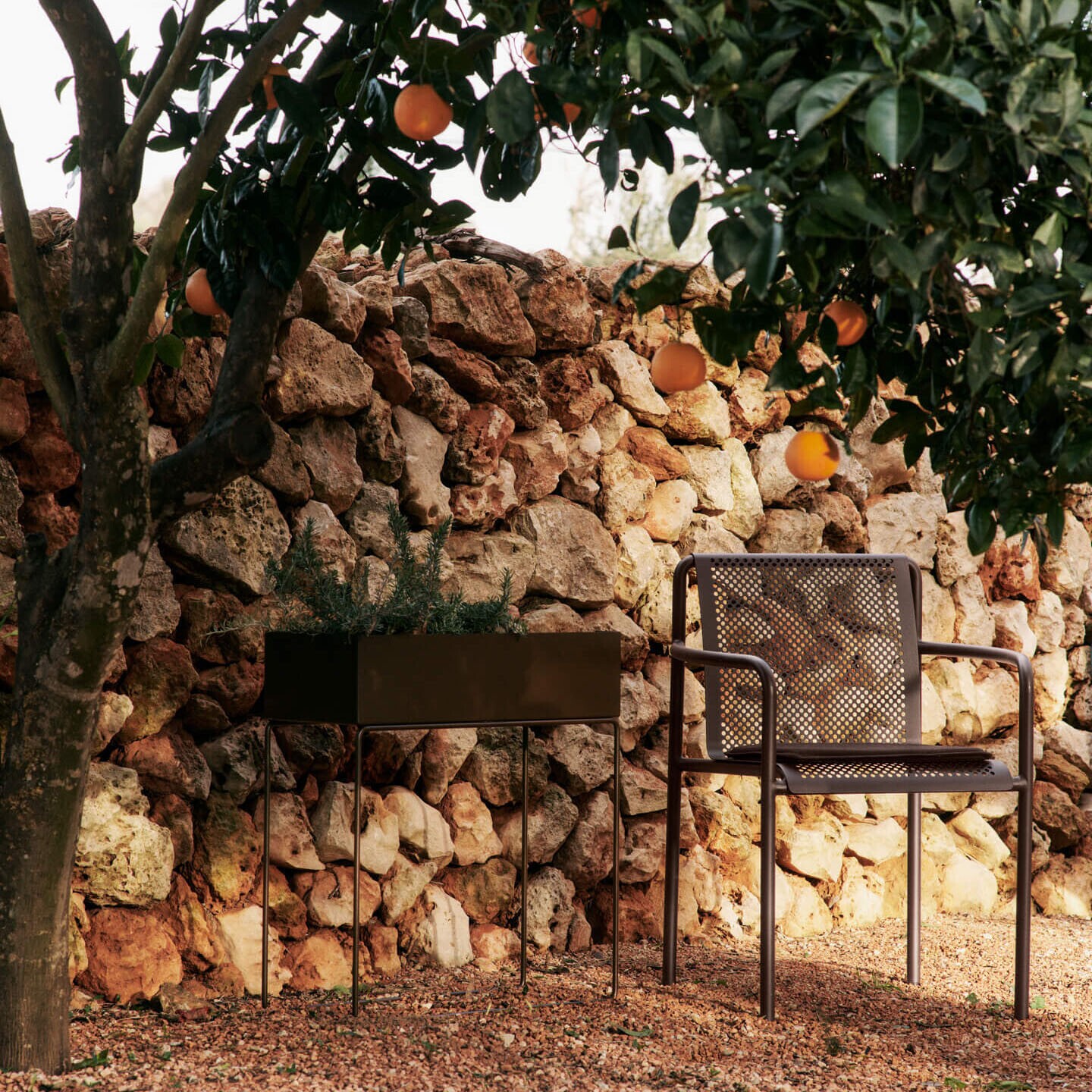 Plant Box 60x65x25cm