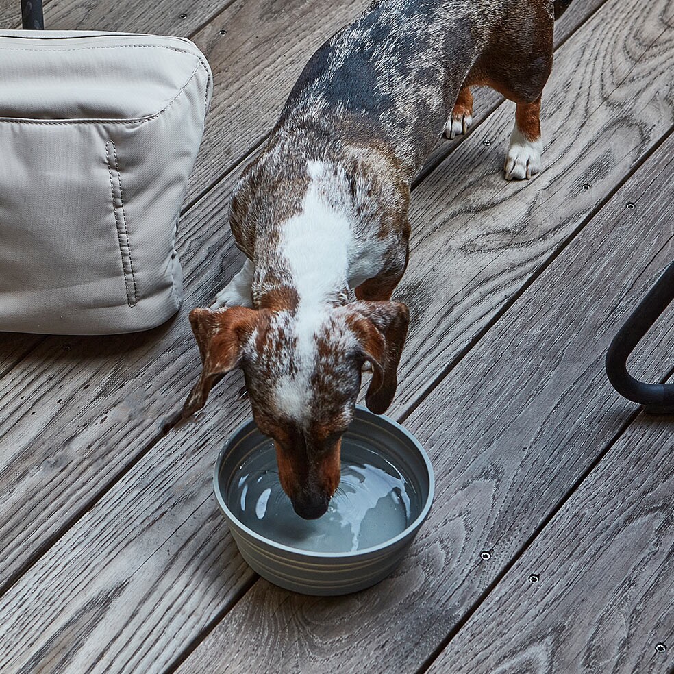Piega Travel Dog Bowl Foldable