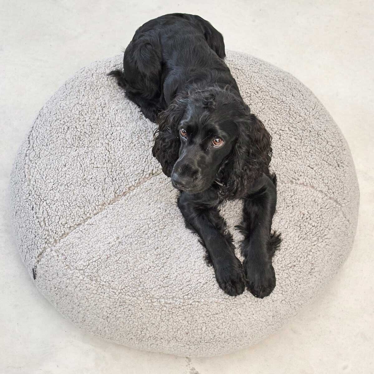 Senso Dog Pouf SM