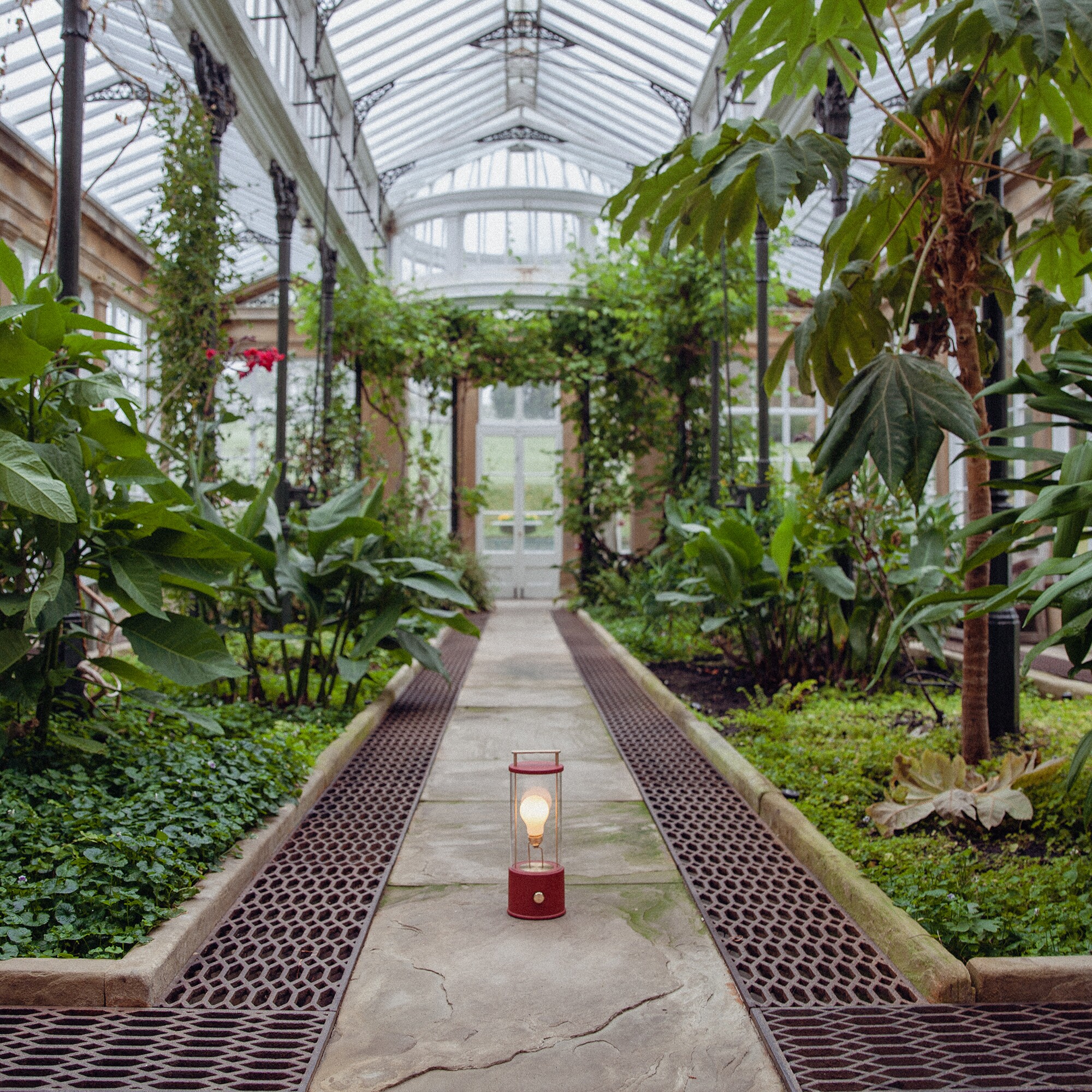 The Muse LED Lamp with Battery