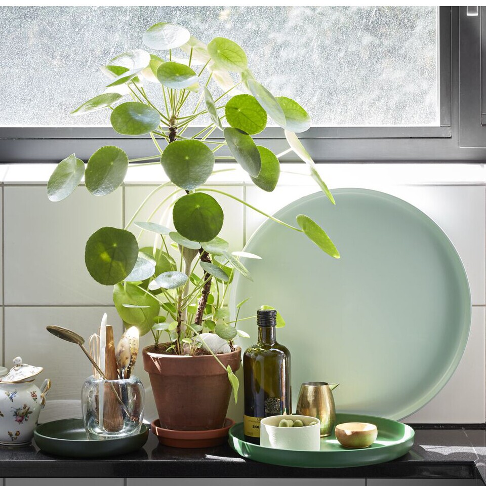 Vitra Trays Set of 3