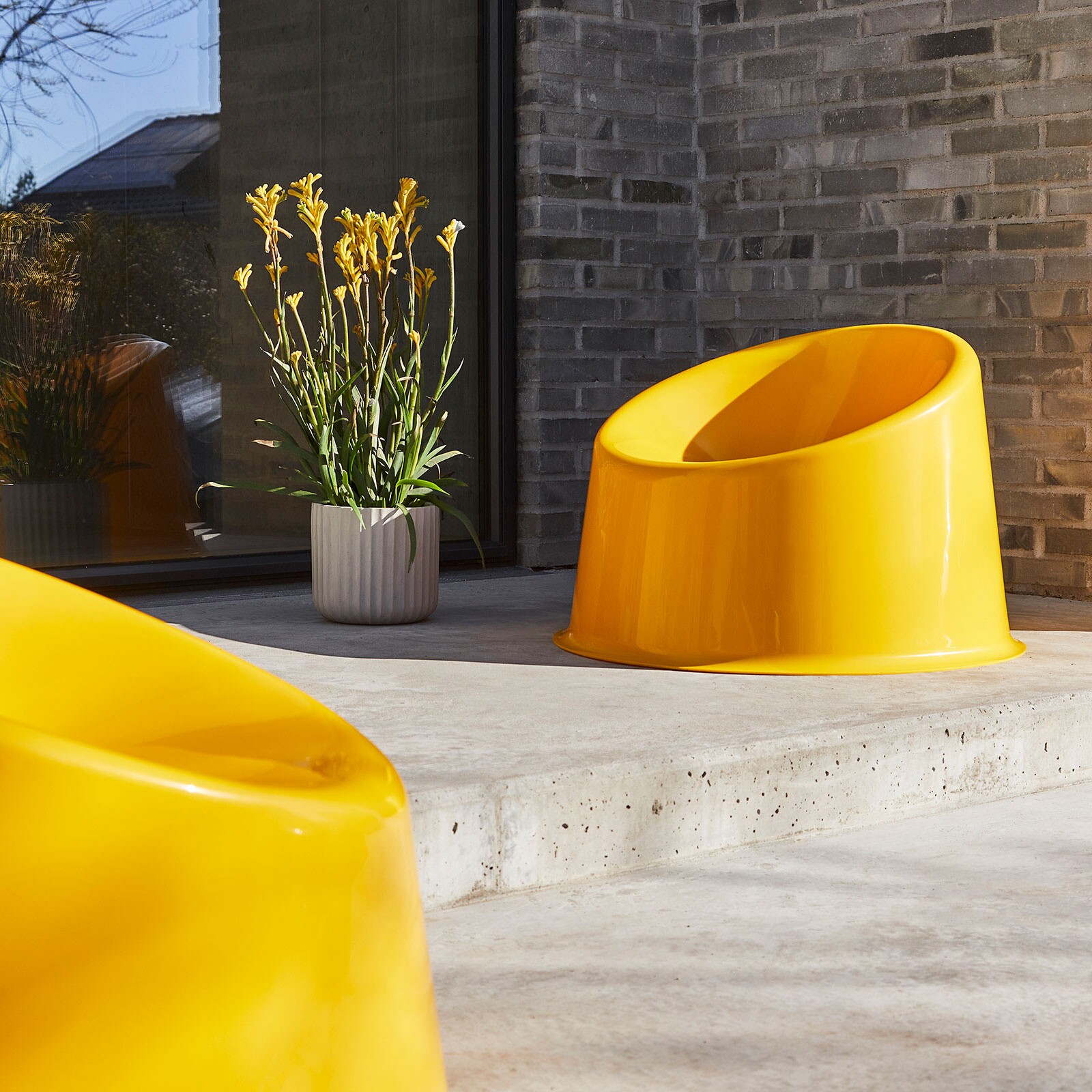 Panto Pop Stacking Chair