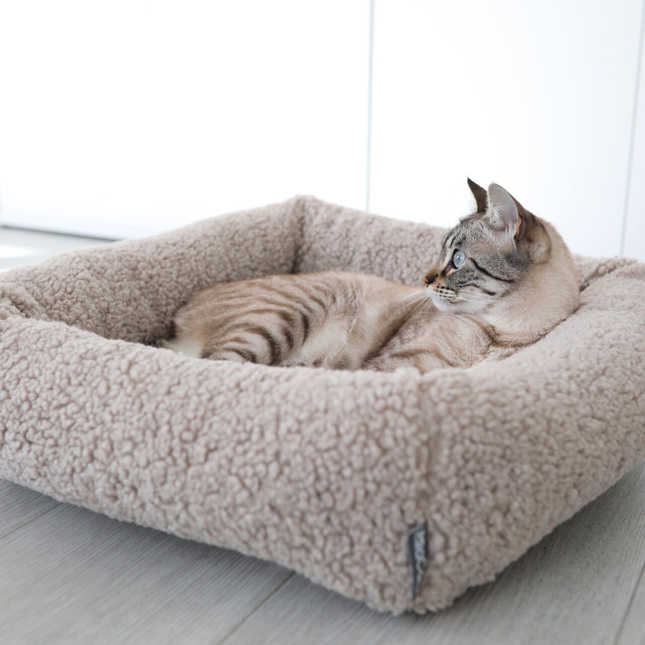 Senso Box Cat Bed