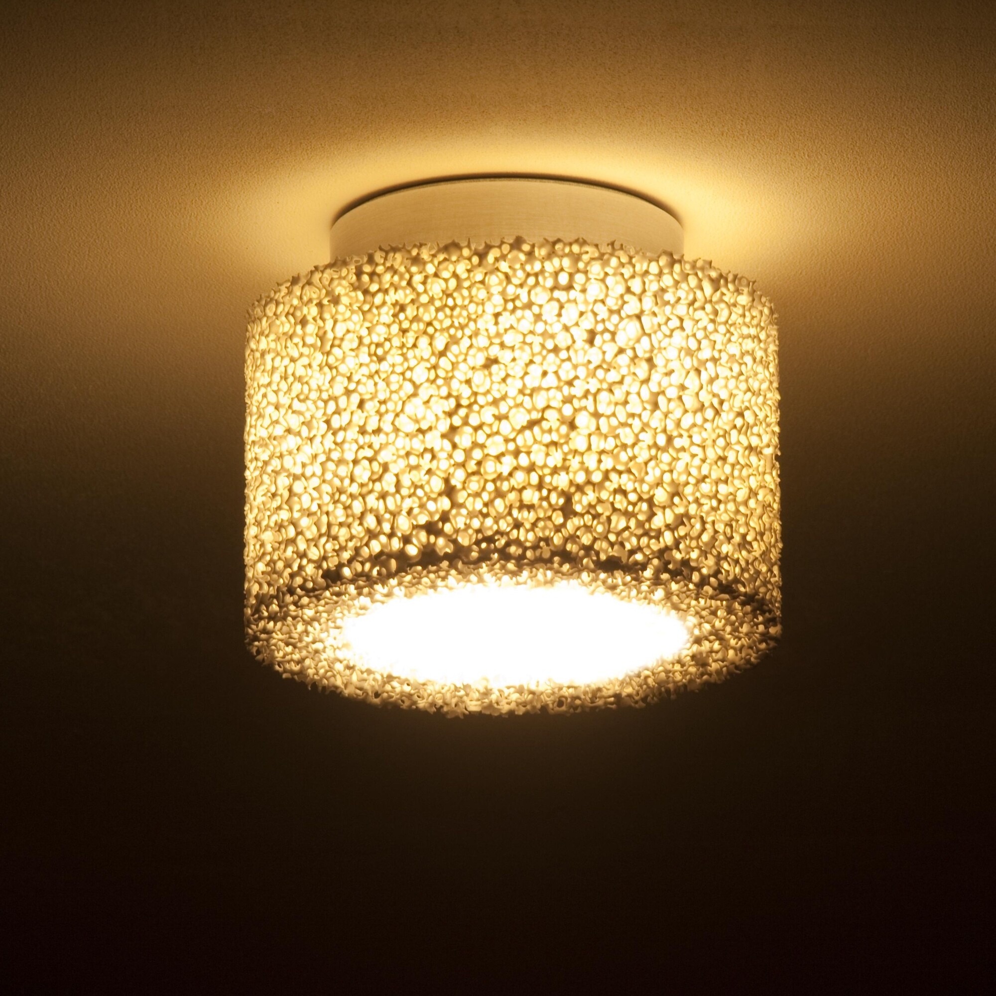 Reef Ceiling Lamp