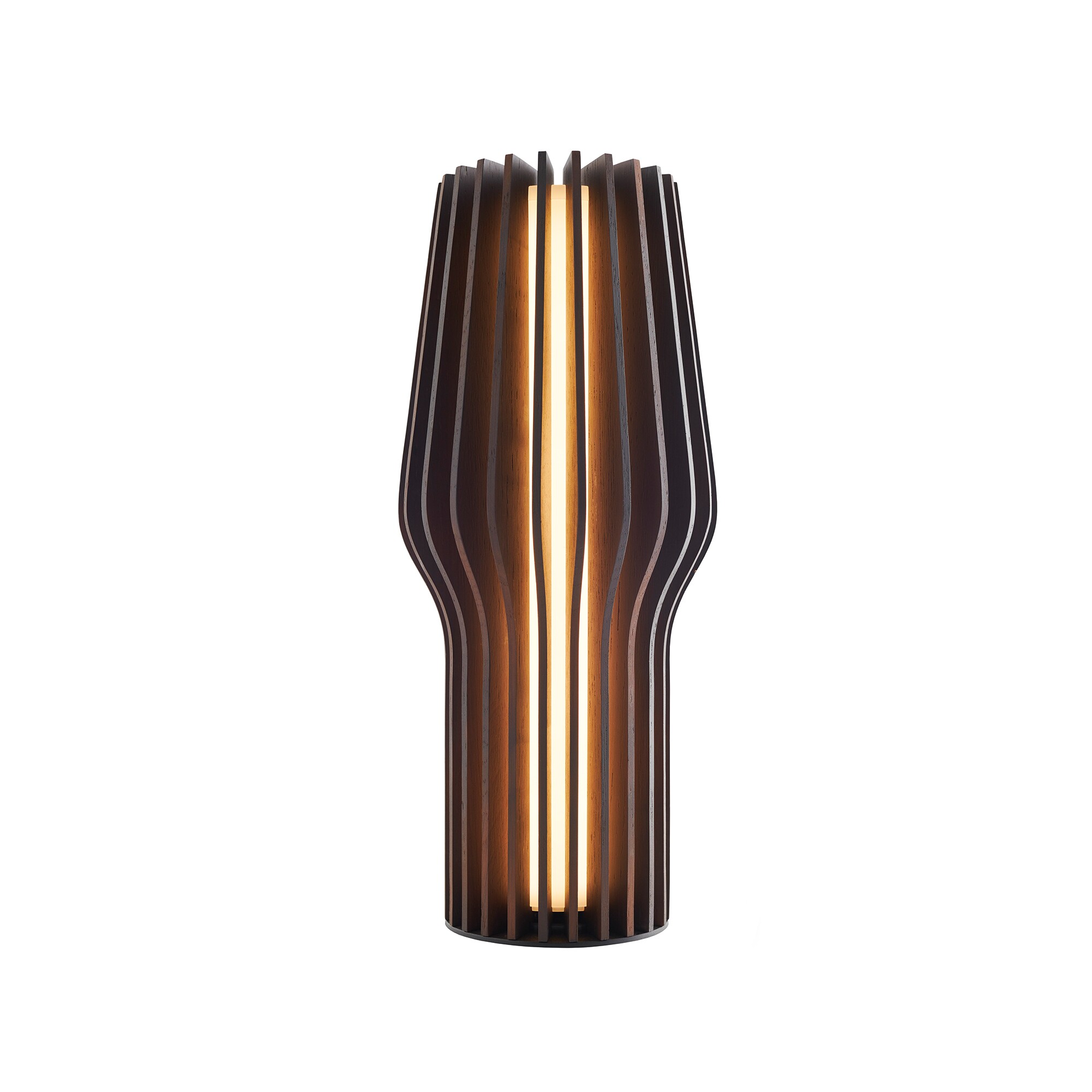 Radiant LED Lamp with Battery