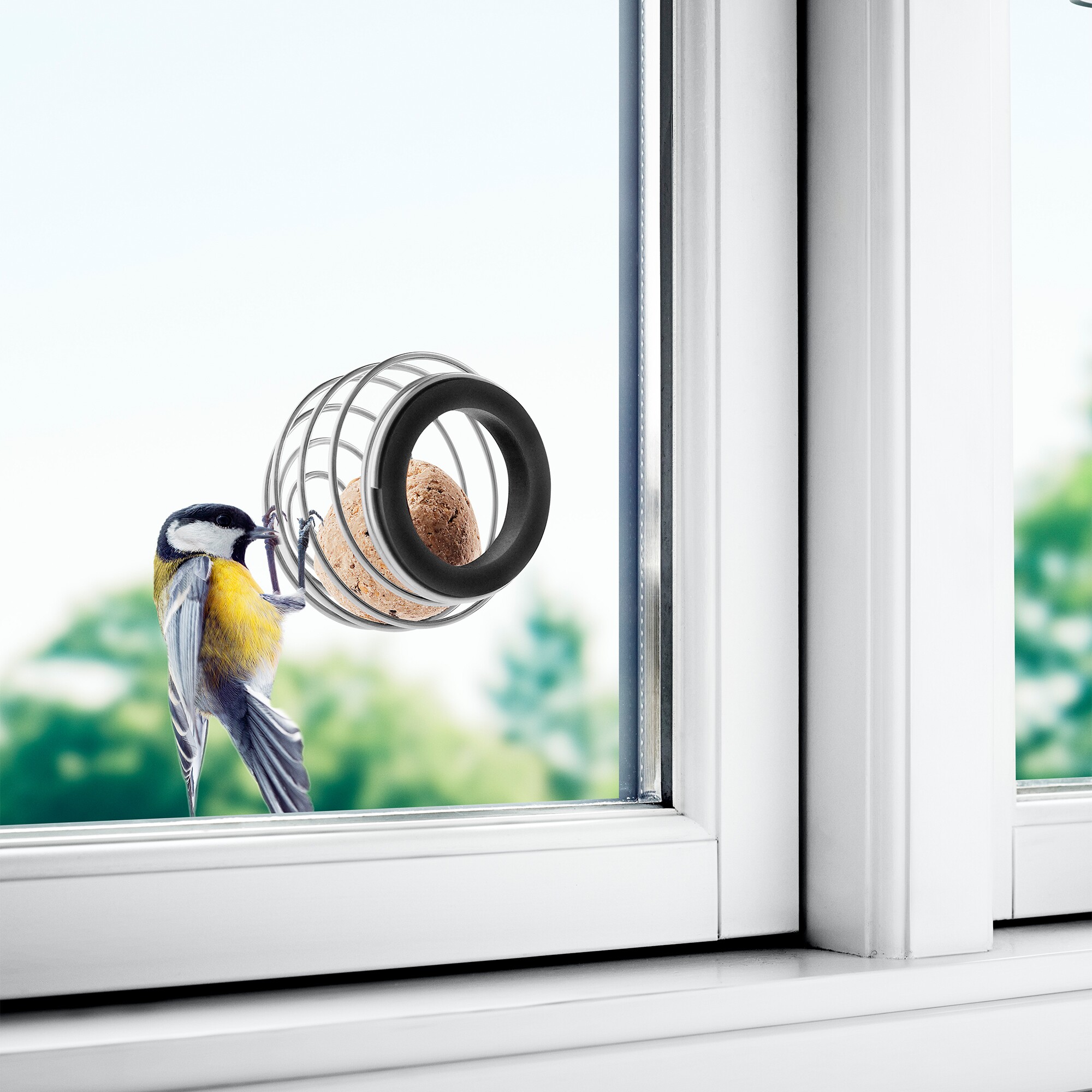 Window Suet Bird Feeder