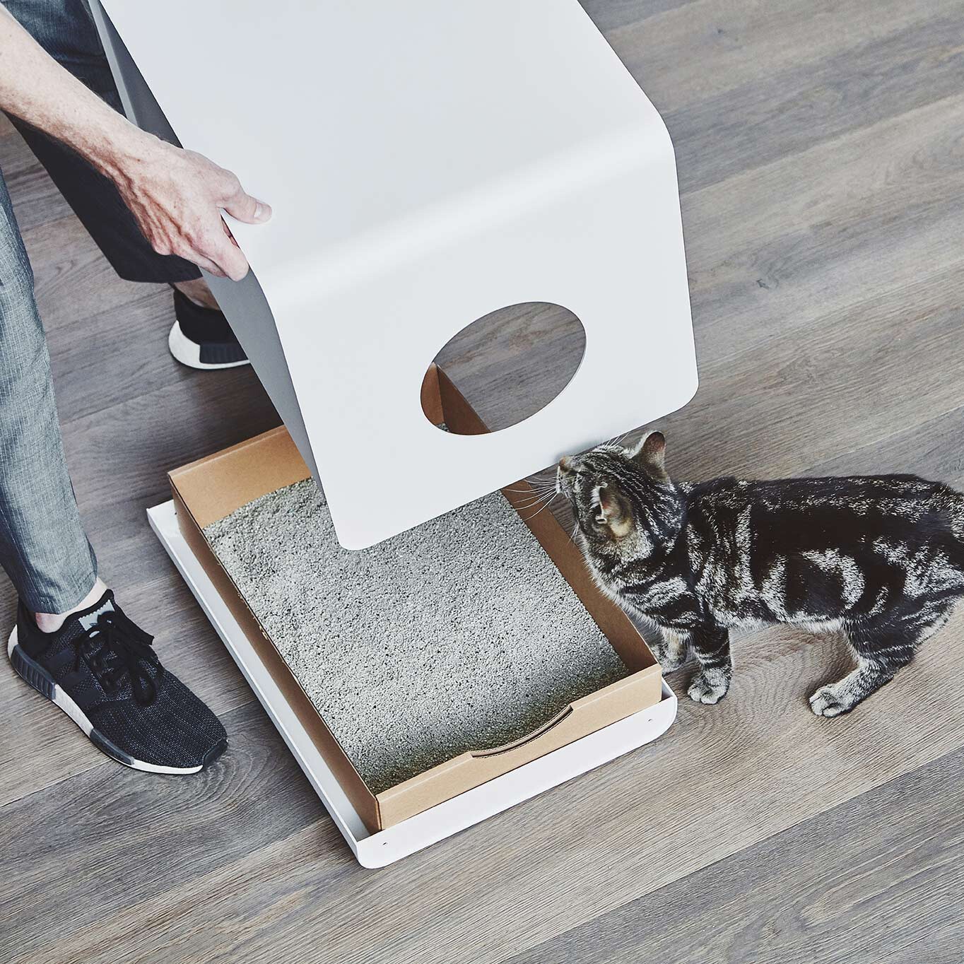 Sito Insert for Cat Litter Box Set of 5