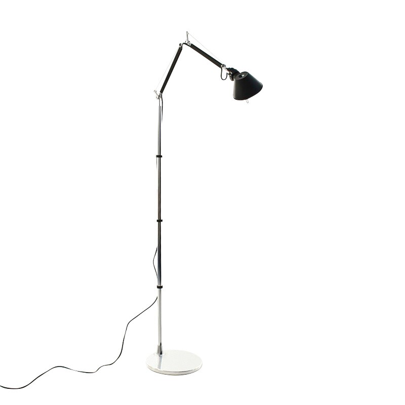 Tolomeo Micro Terra Floor Lamp