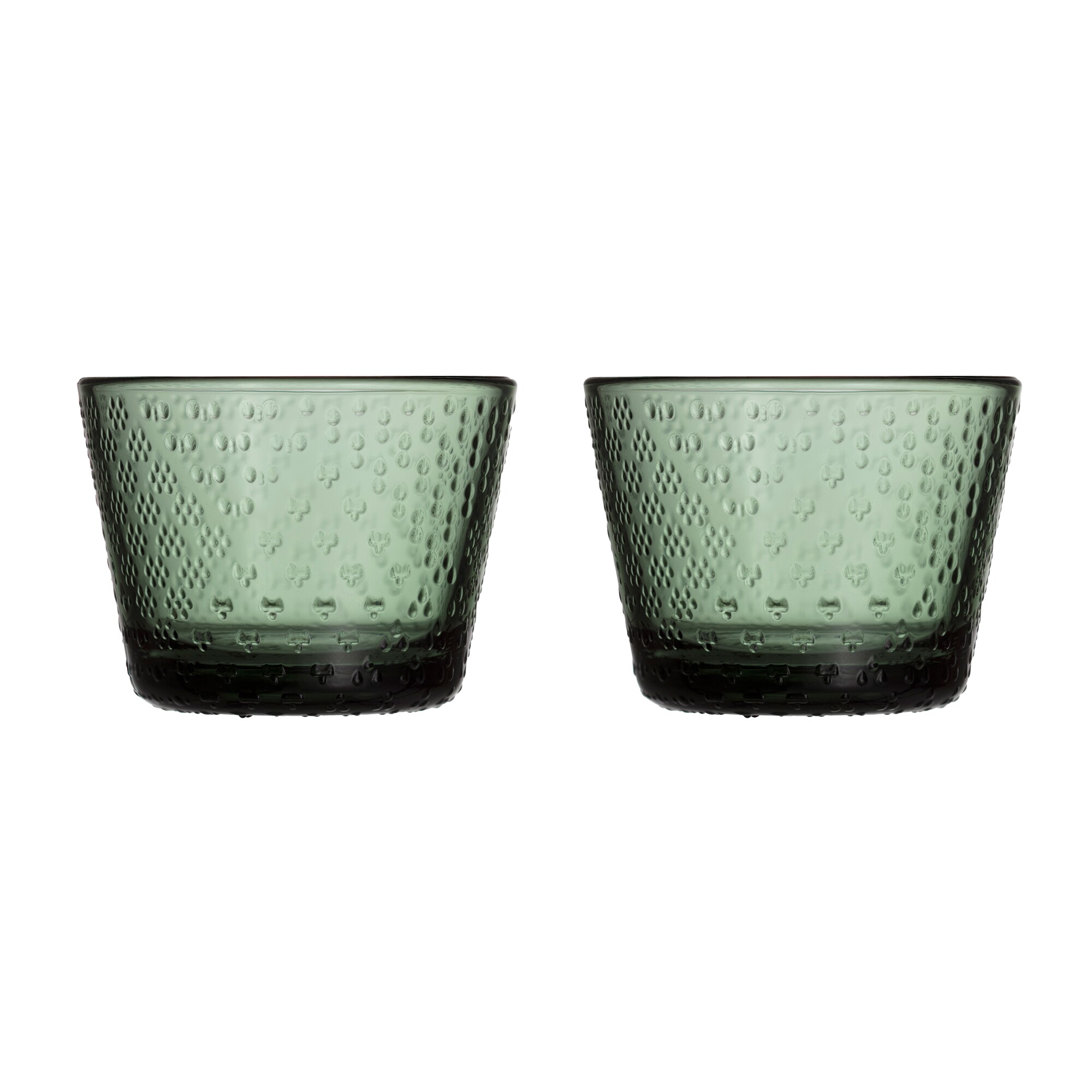 Tundra Glass Set of 2 16cl