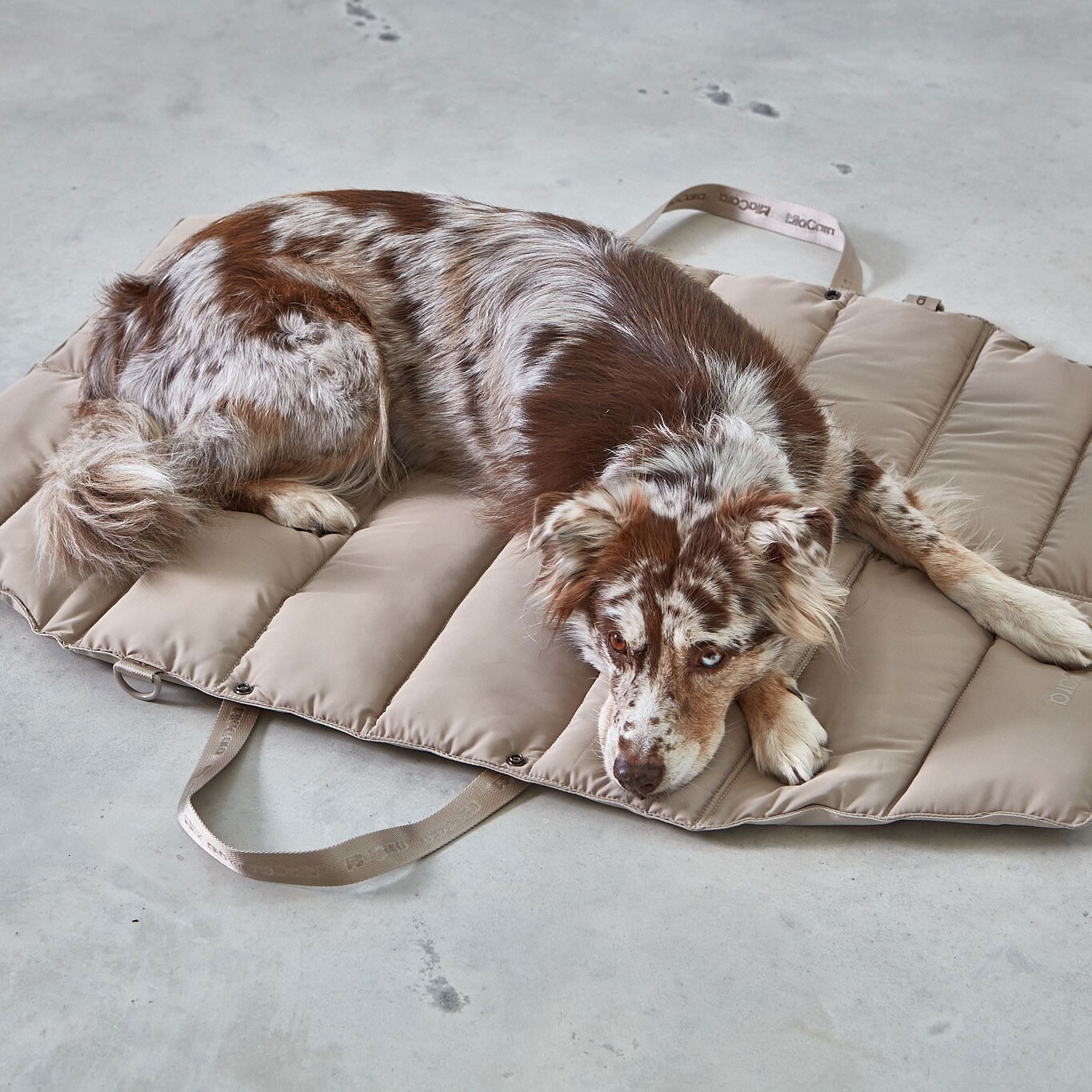 Strada travelBed Dog Bed M
