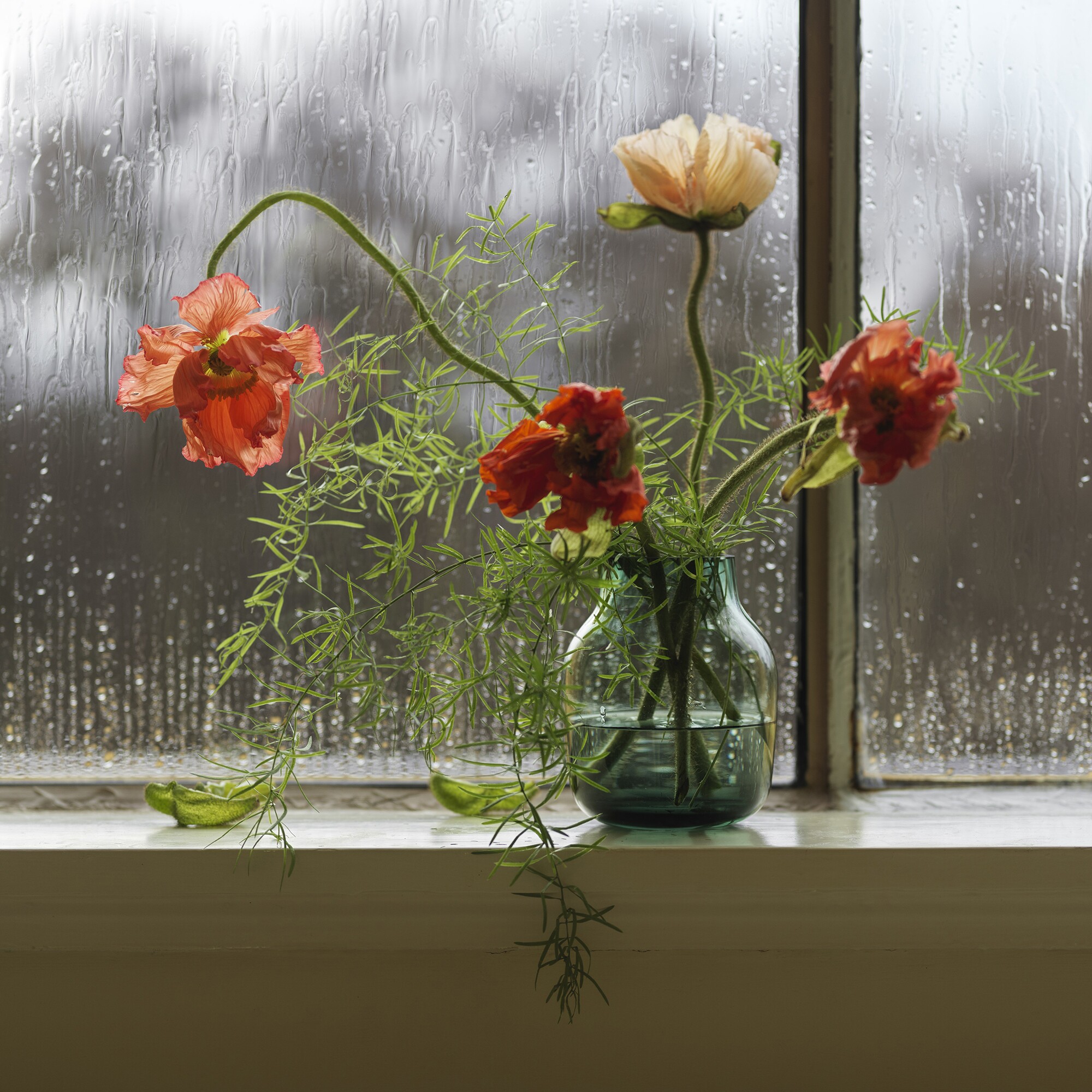 Silent Glass Vase Ø 11cm