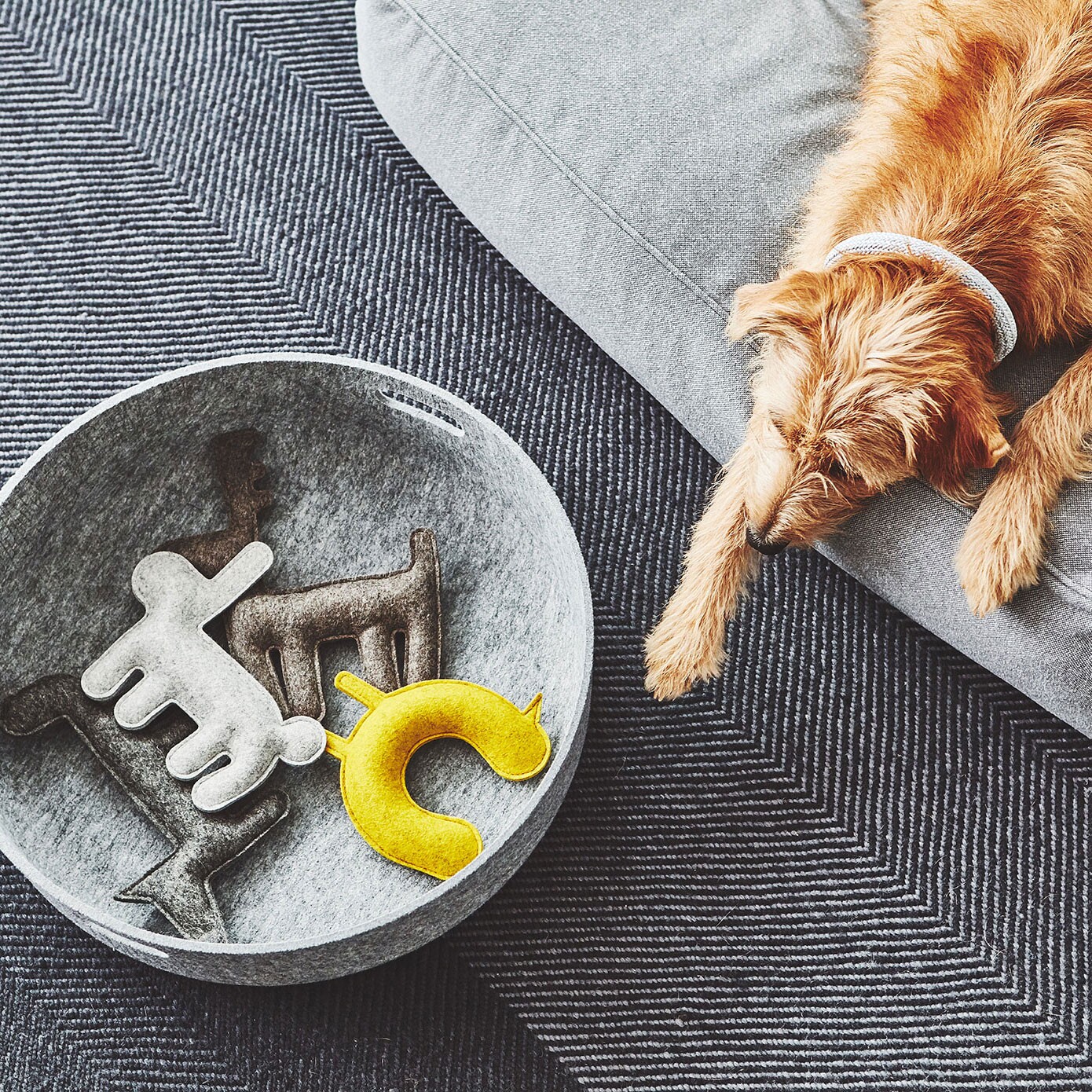 Stella Dog Lounge Pillow ML