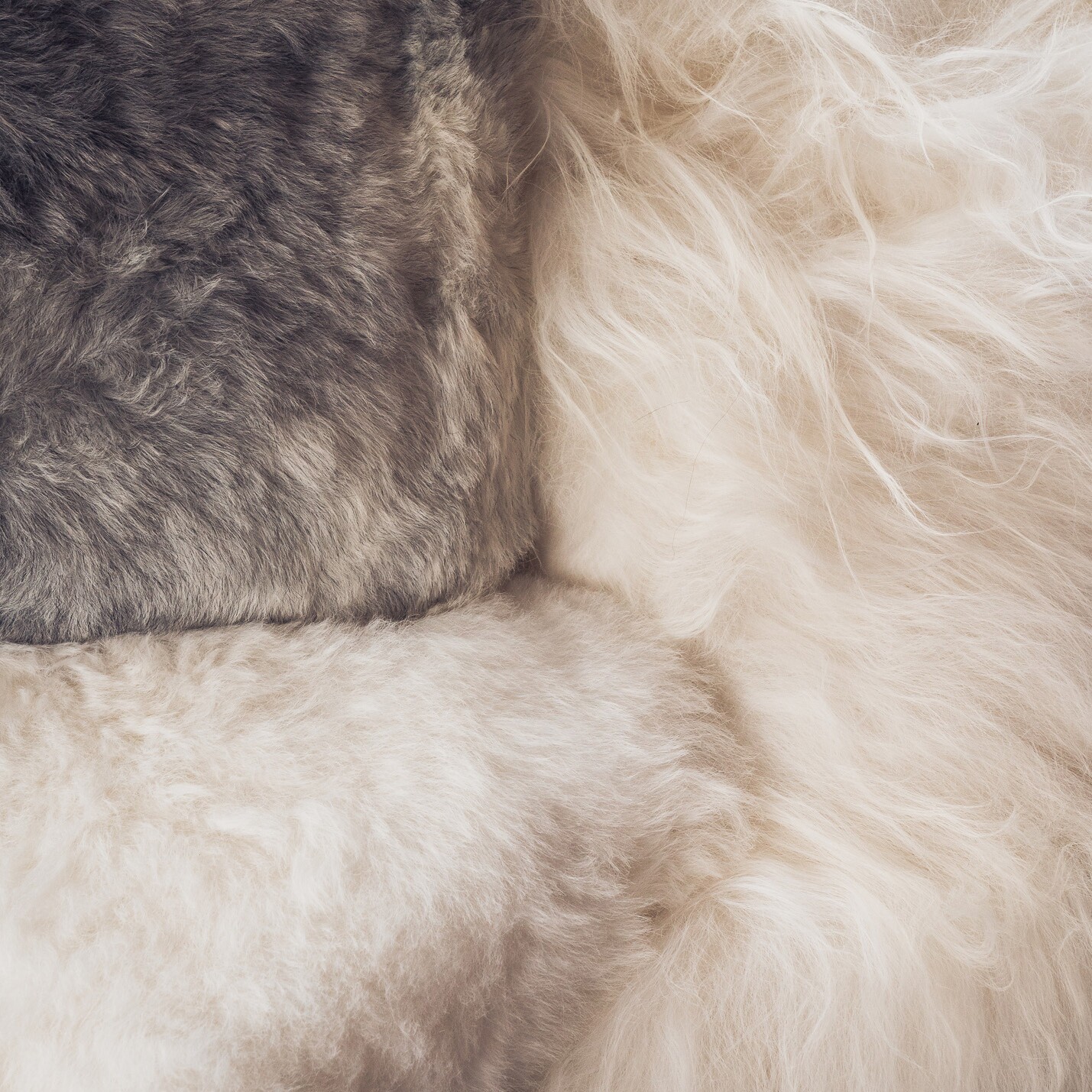 Sheepskin Wild Cushion 35x35cm