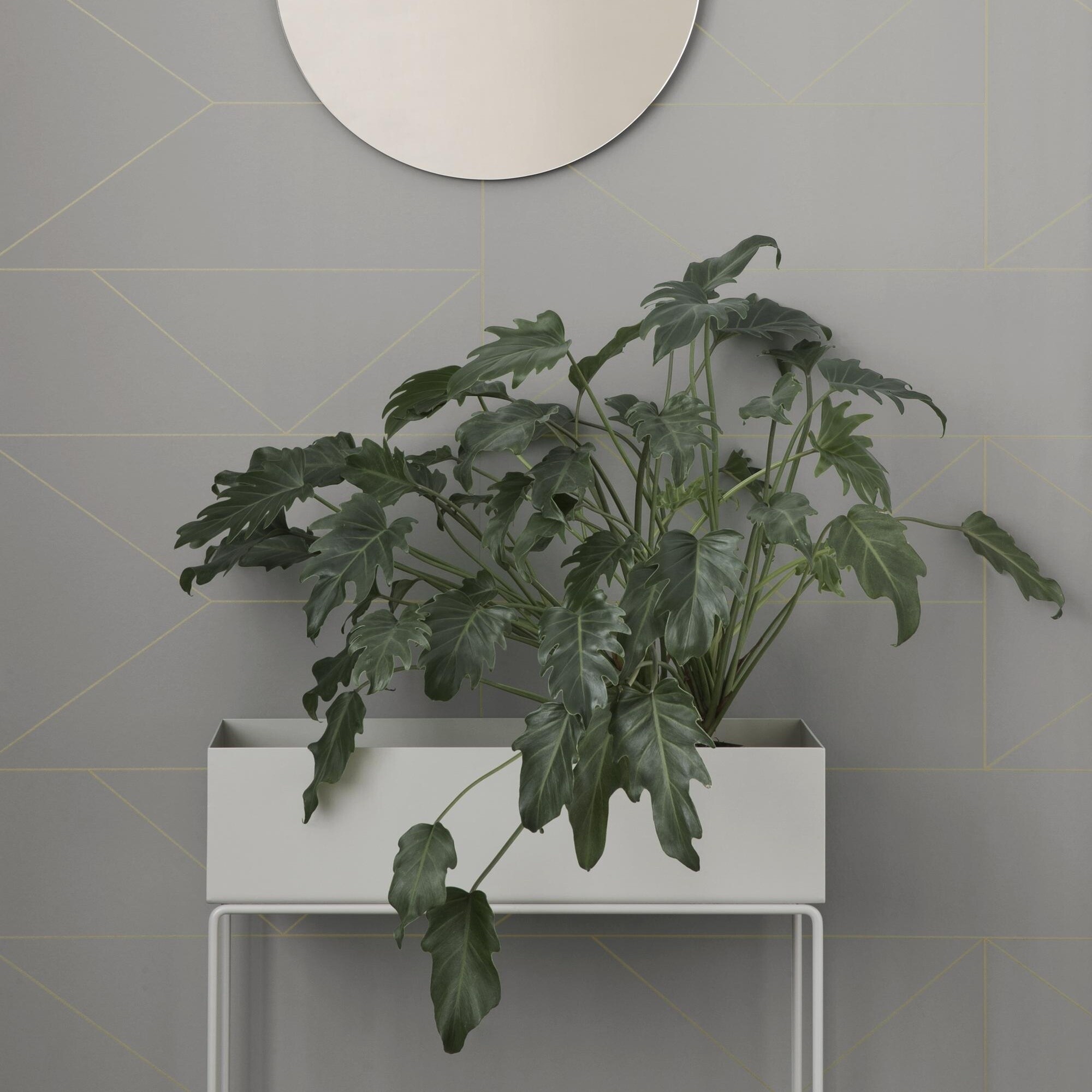 Plant Box 60x65x25cm