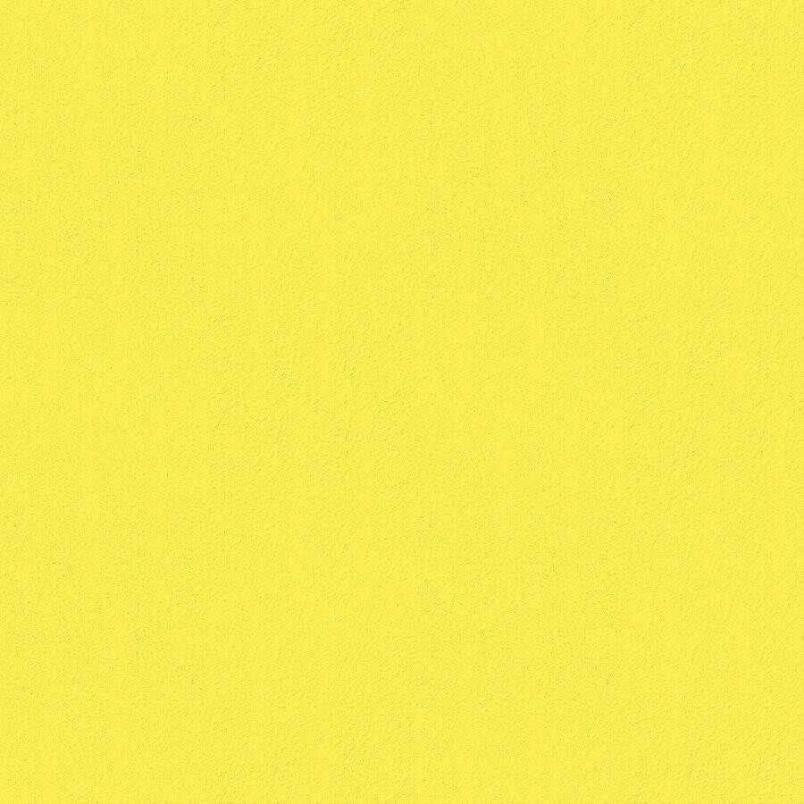 Remo Plastic Garden Chair unicoloured