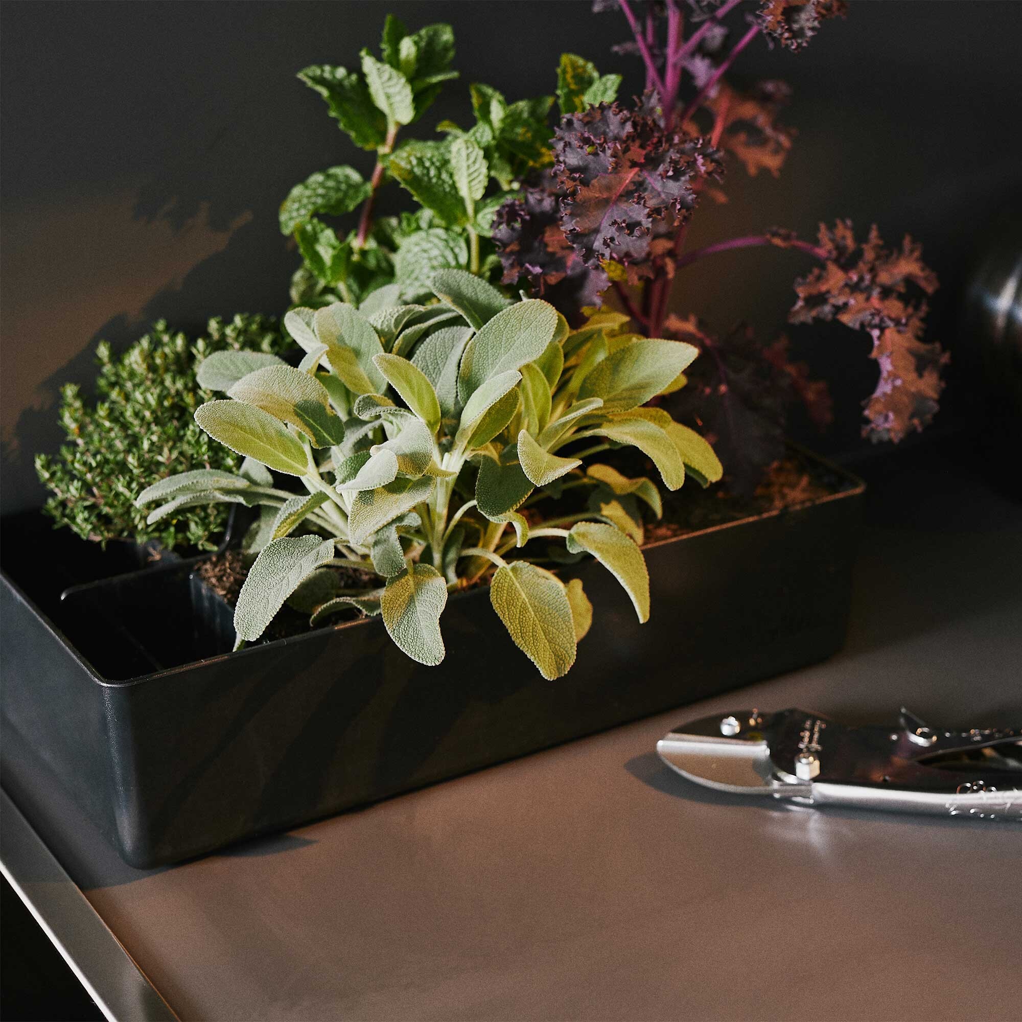 Vitra Toolbox Storage Box