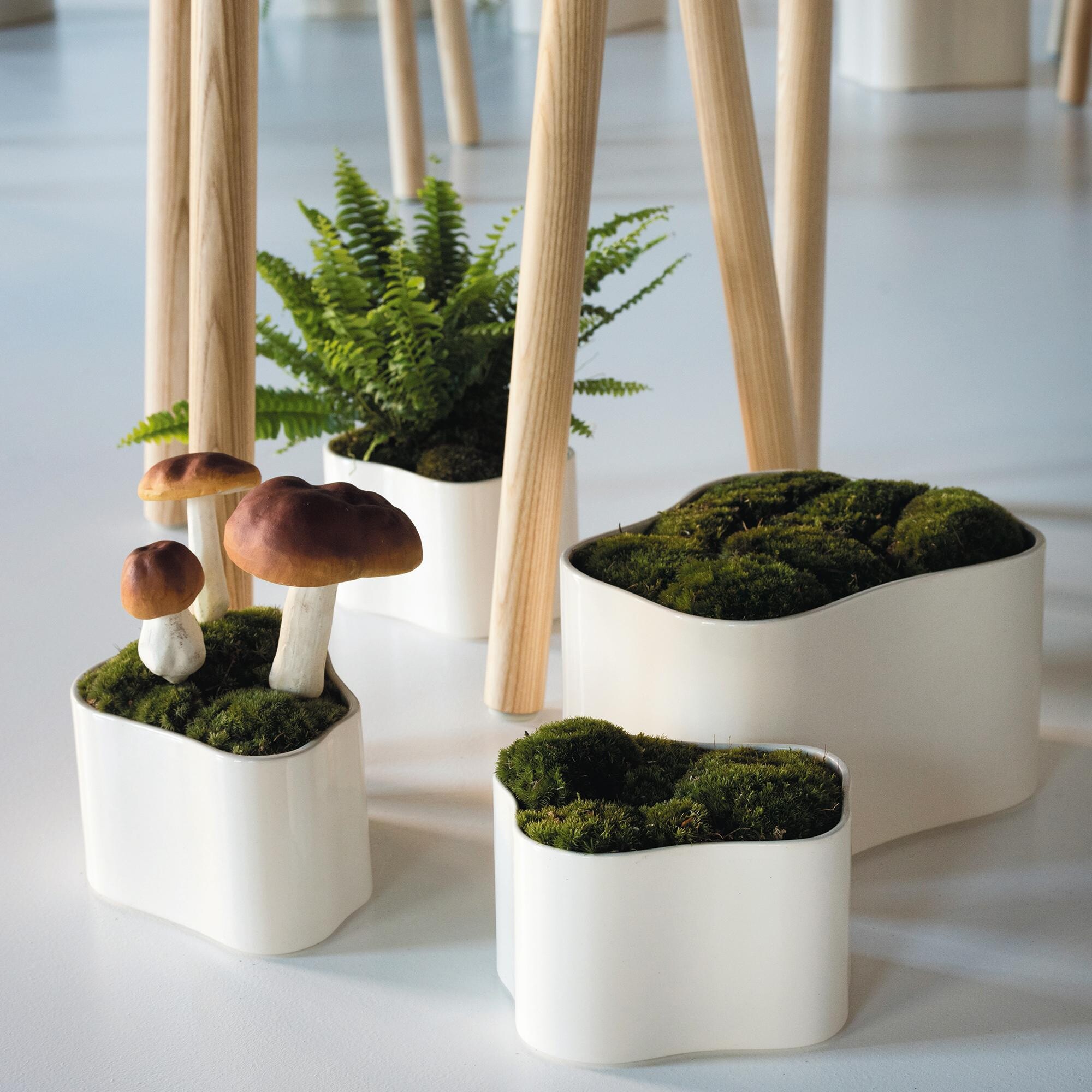 Riihitie B Plant Pot S