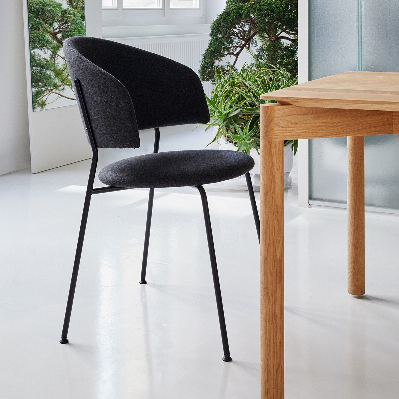 Wedekind XXLarge Dining Table 280x92x74cm