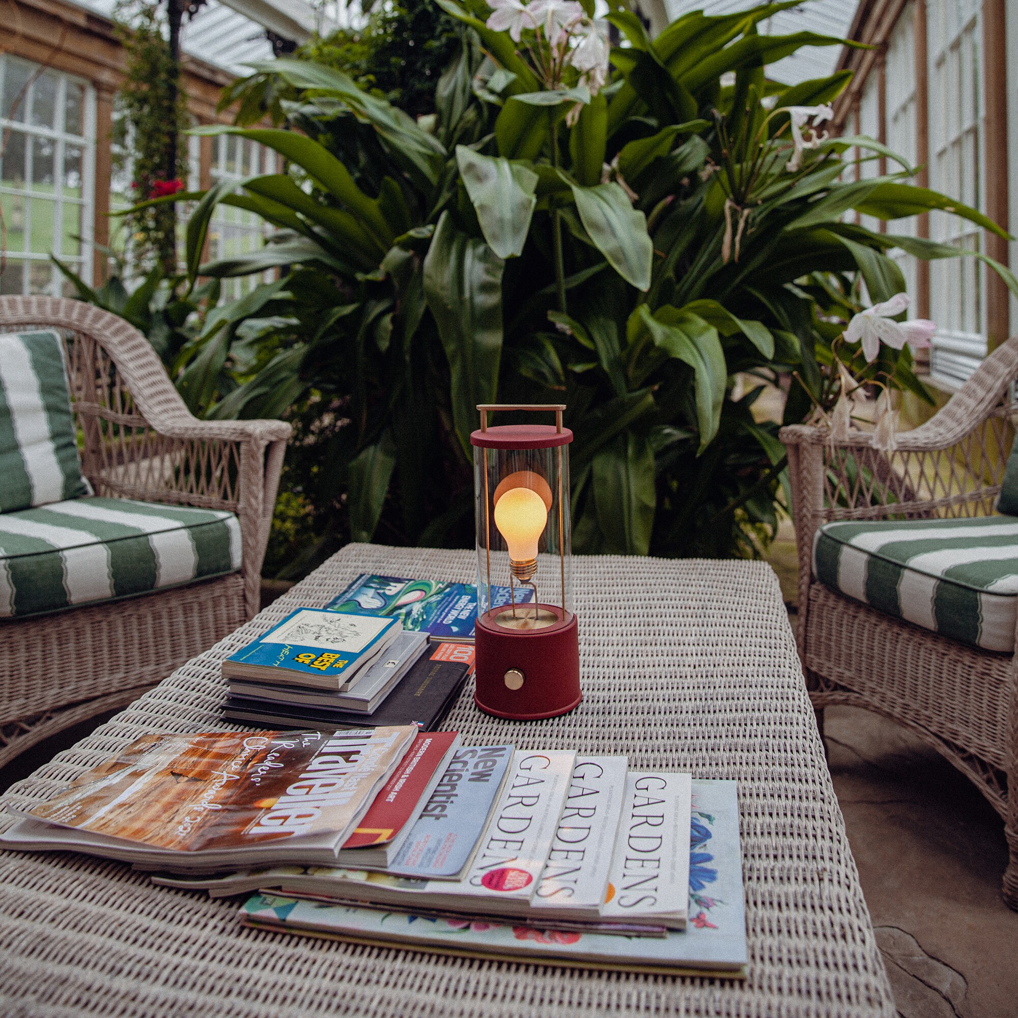 The Muse LED Lamp with Battery