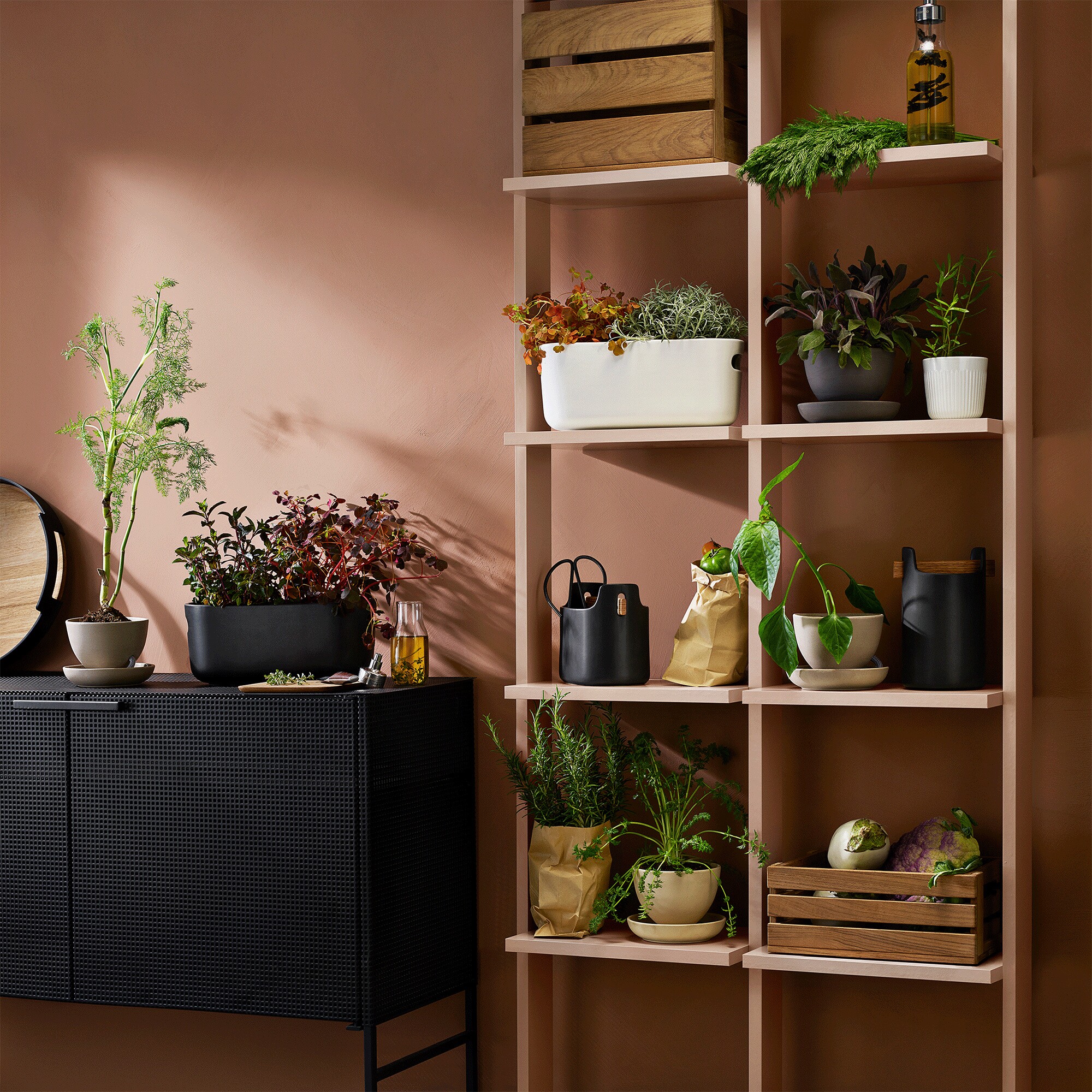 Self-watering Herb Organiser