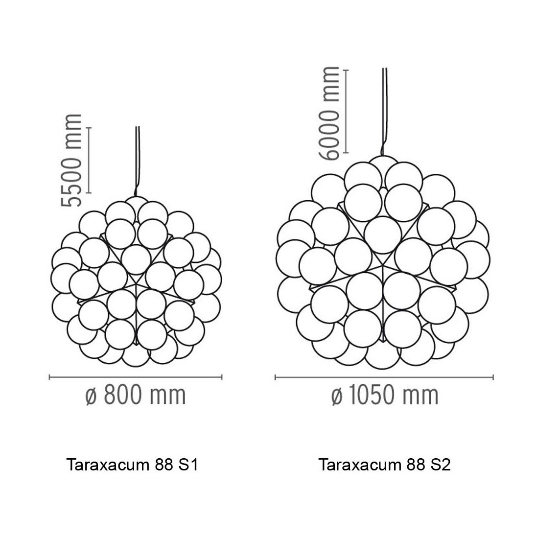 Taraxacum 88 S Suspension