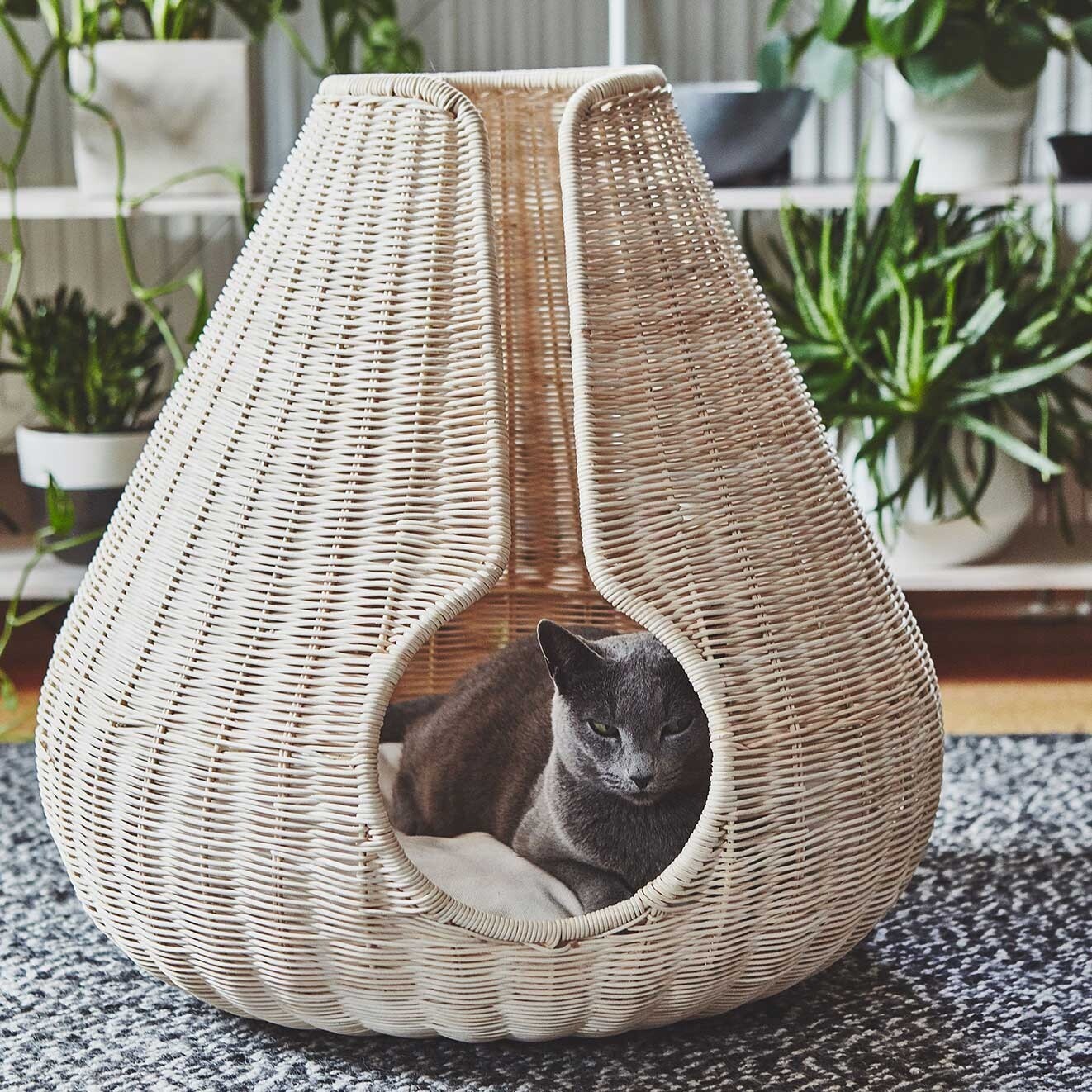 Perla Cat Basket Rattan