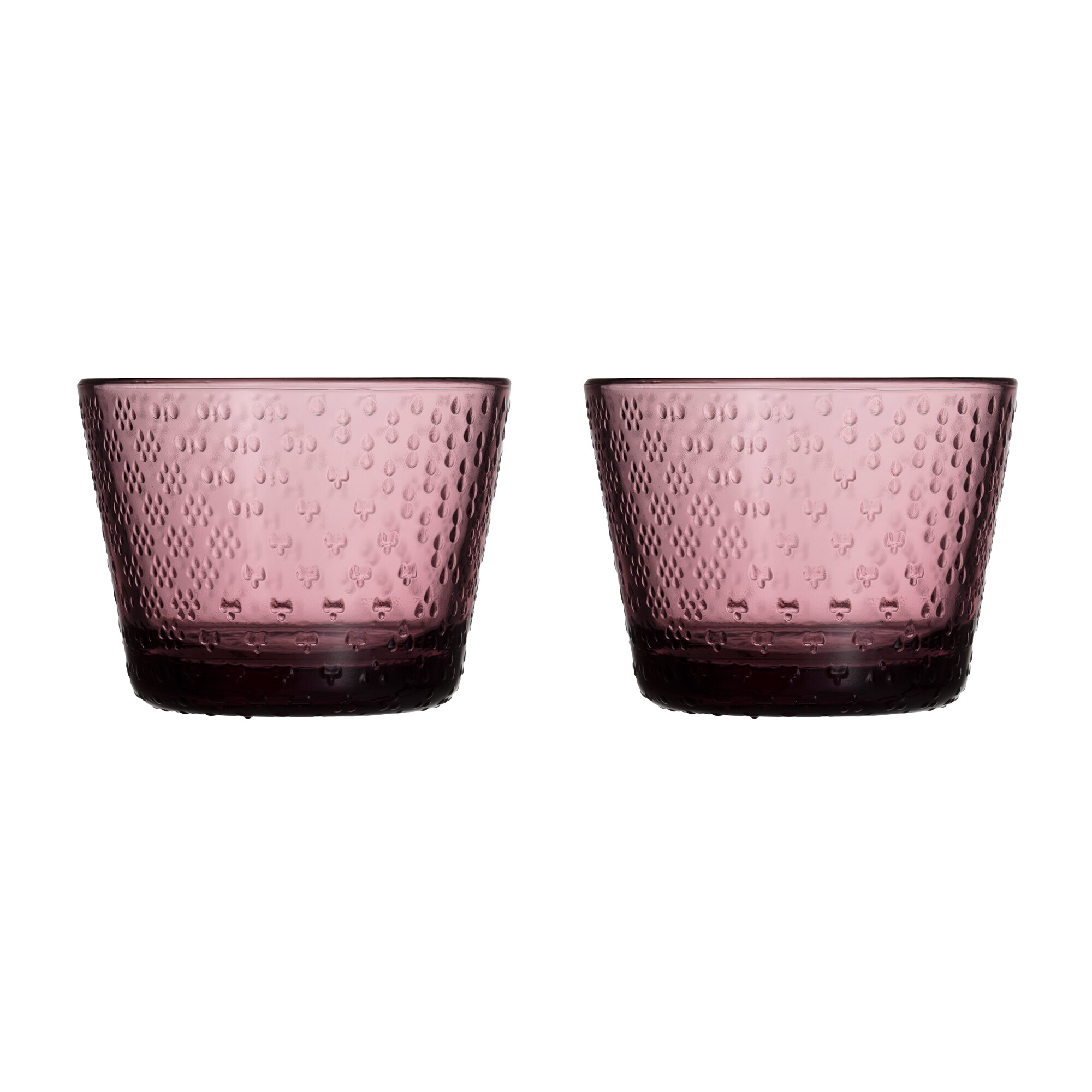 Tundra Glass Set of 2 16cl