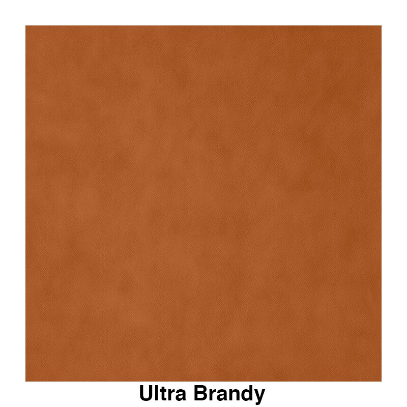 Shell Chair Black Oak