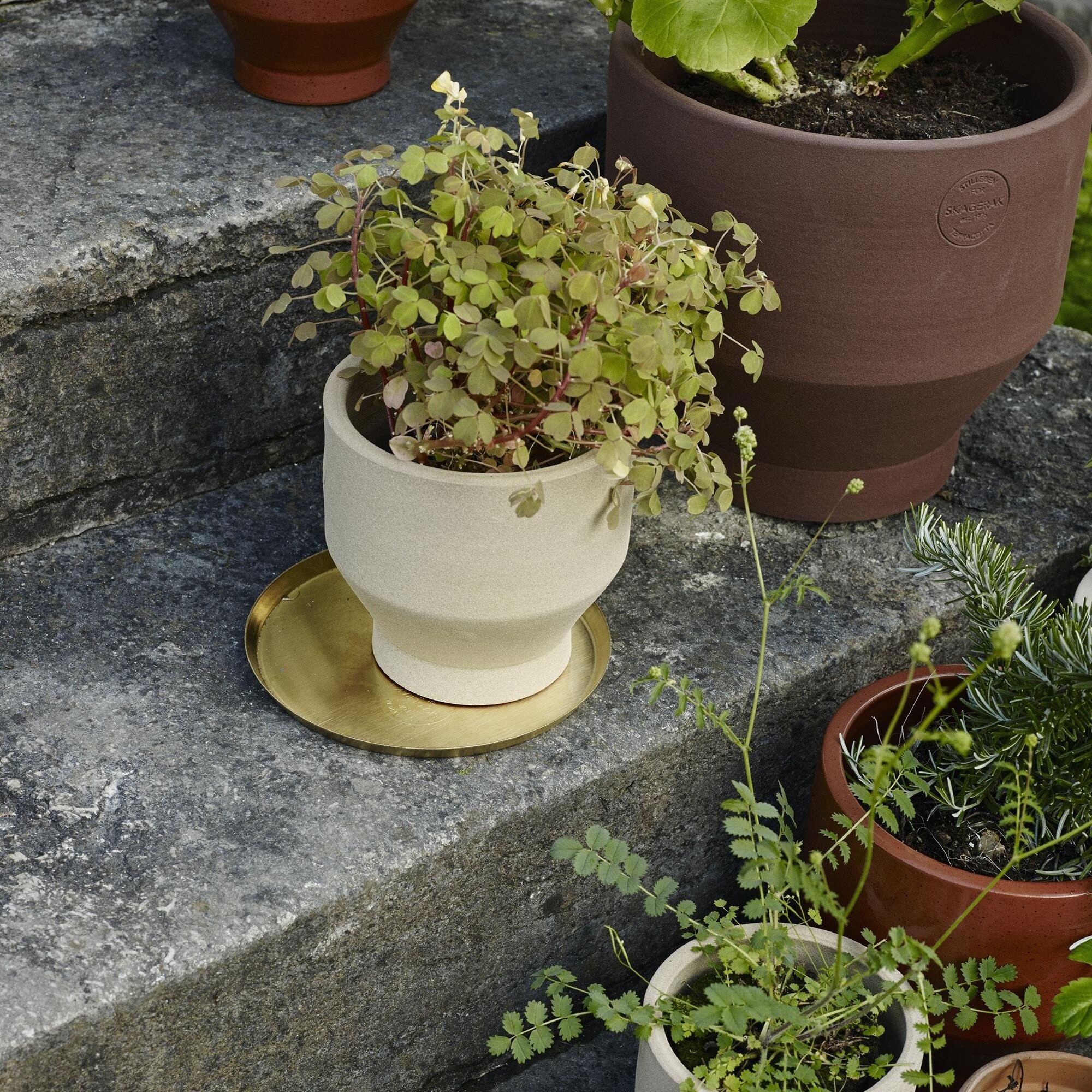 Skagerak Edge Brass Plate / Saucer