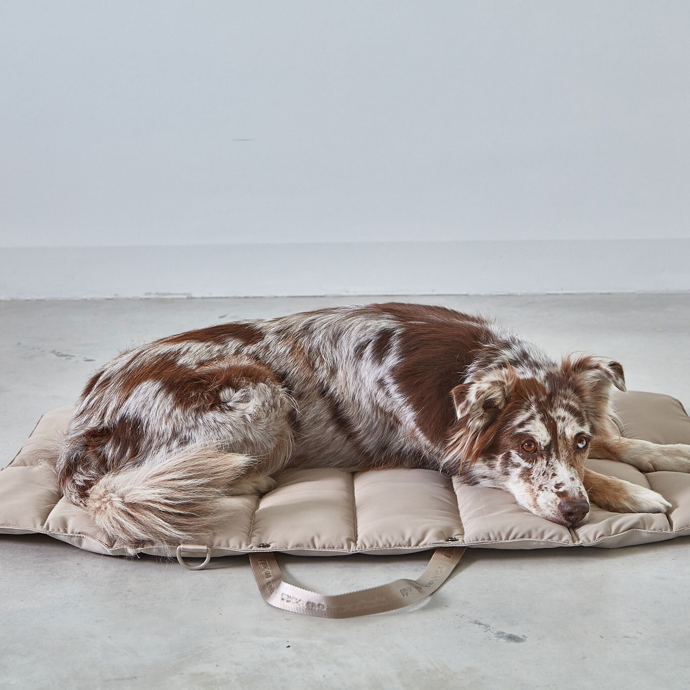 Strada travelBed Dog Bed M