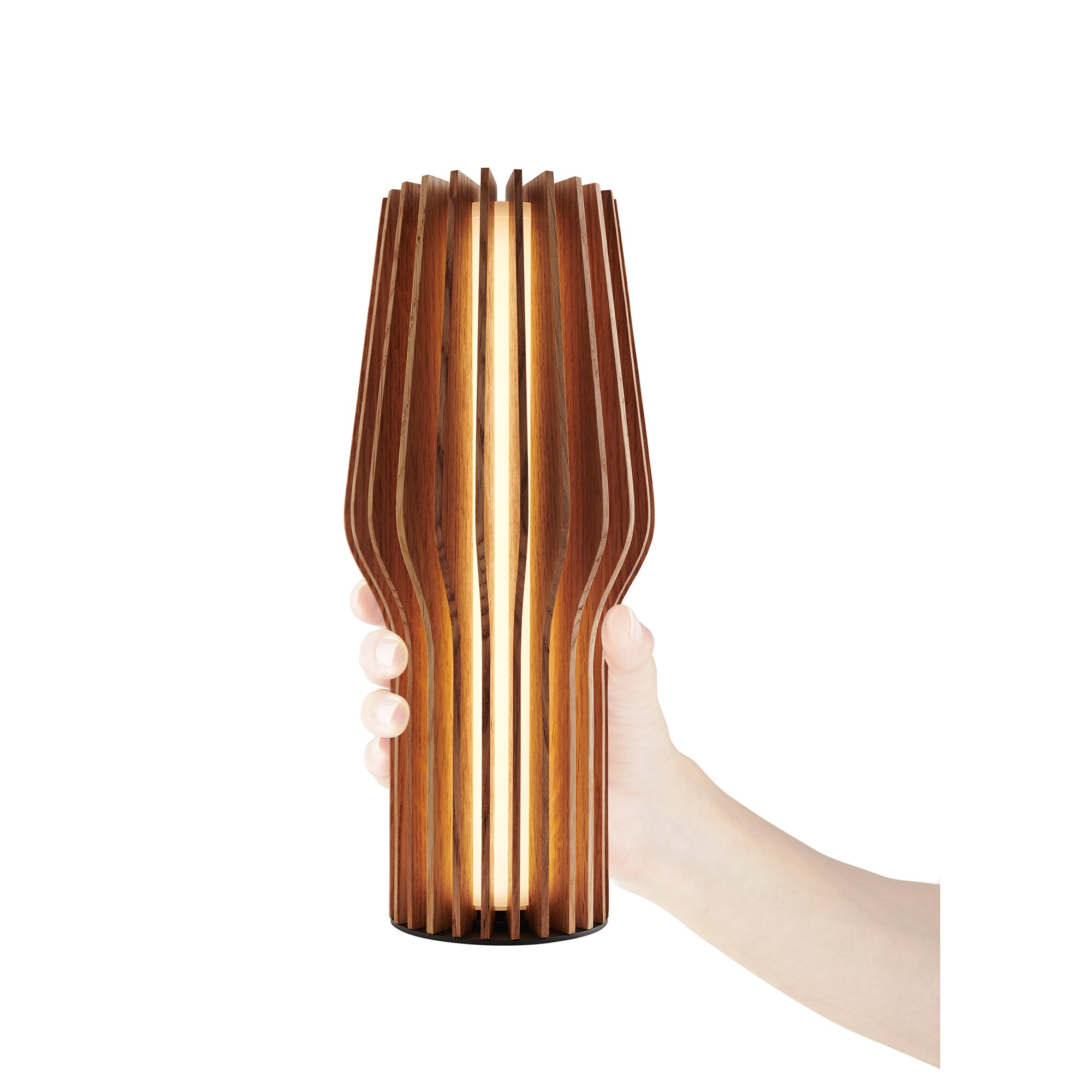 Radiant LED Lamp with Battery