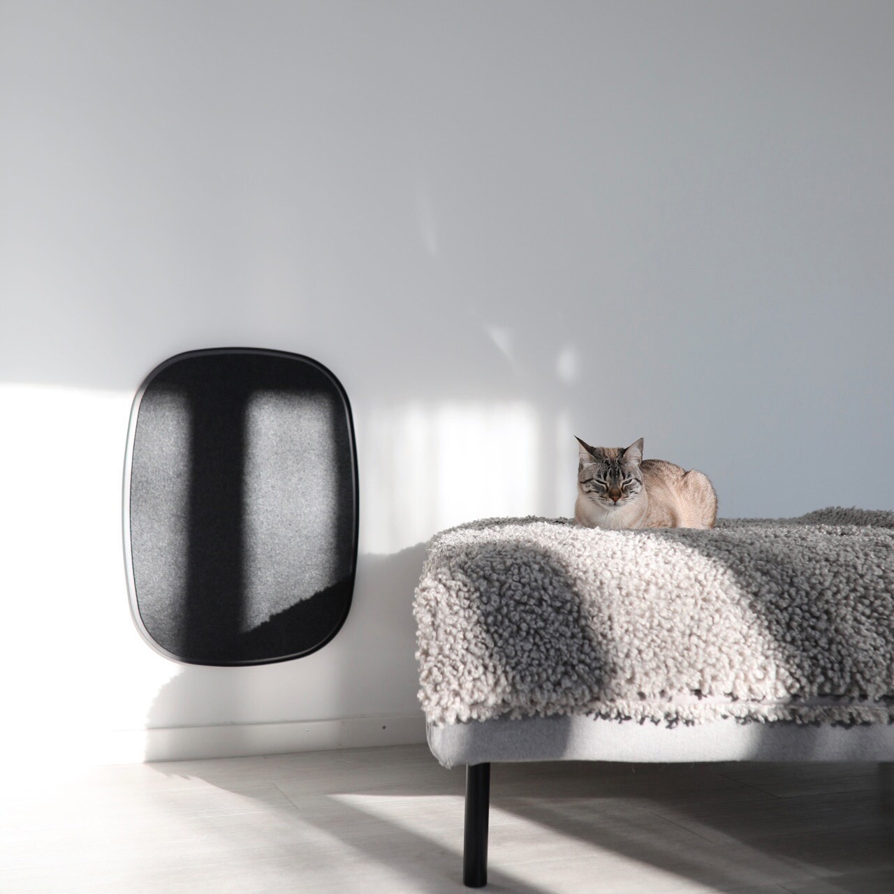 Pannello Scratch Panel