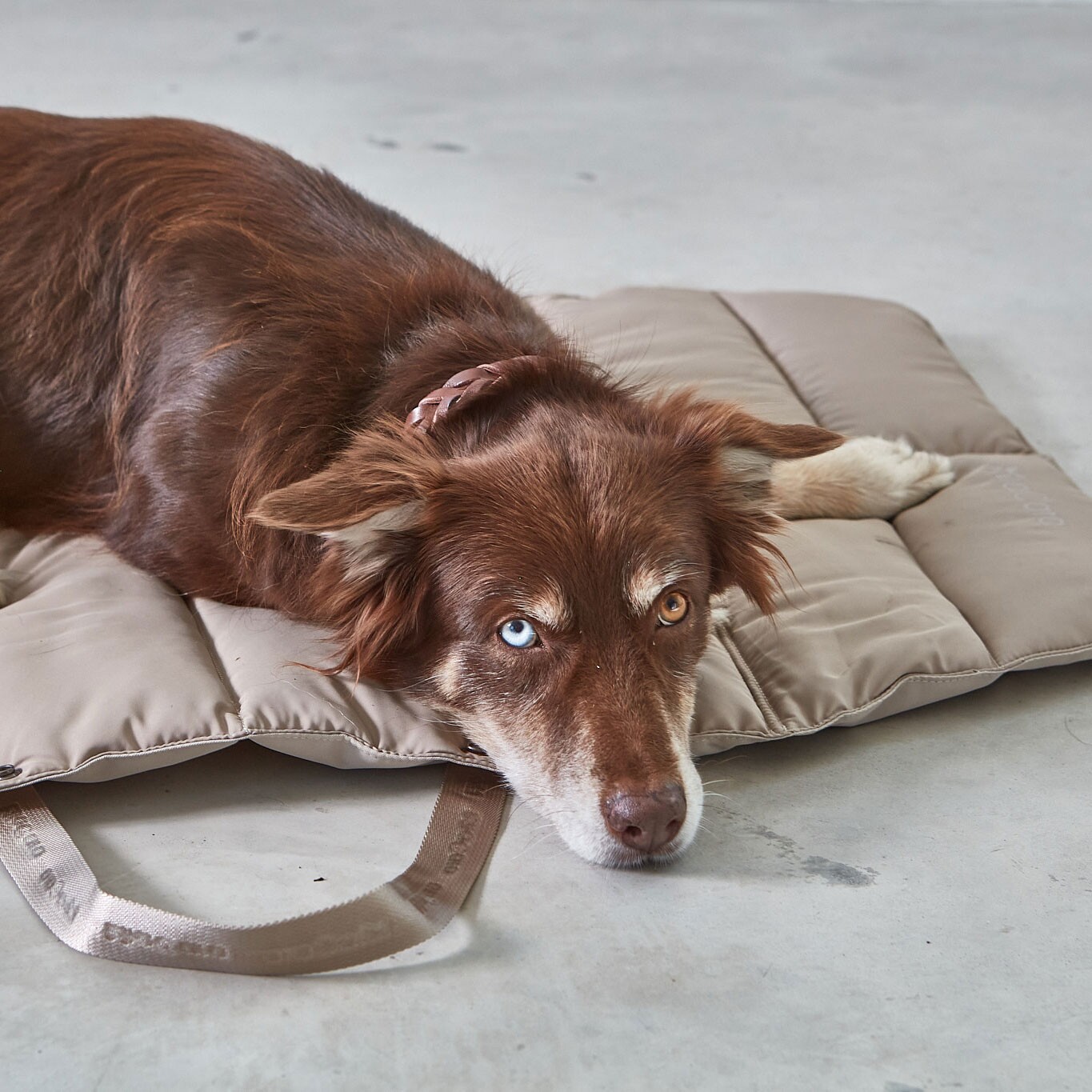 Strada travelBed Dog Bed M