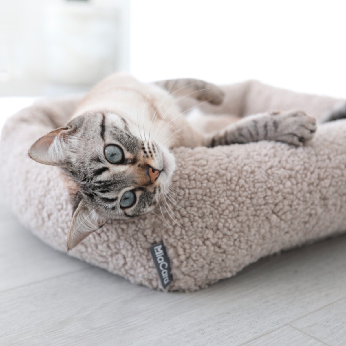 Senso Box Cat Bed