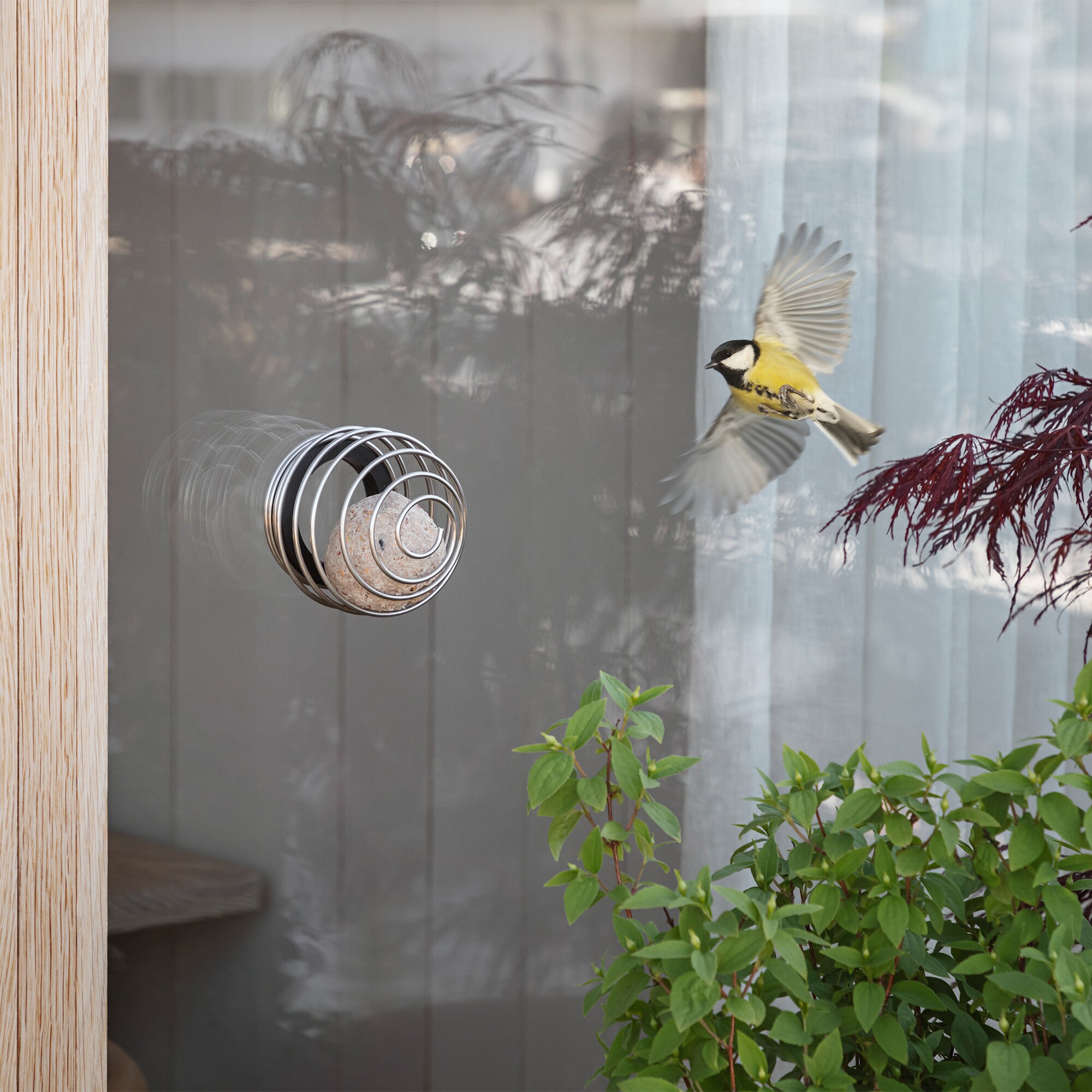 Window Suet Bird Feeder