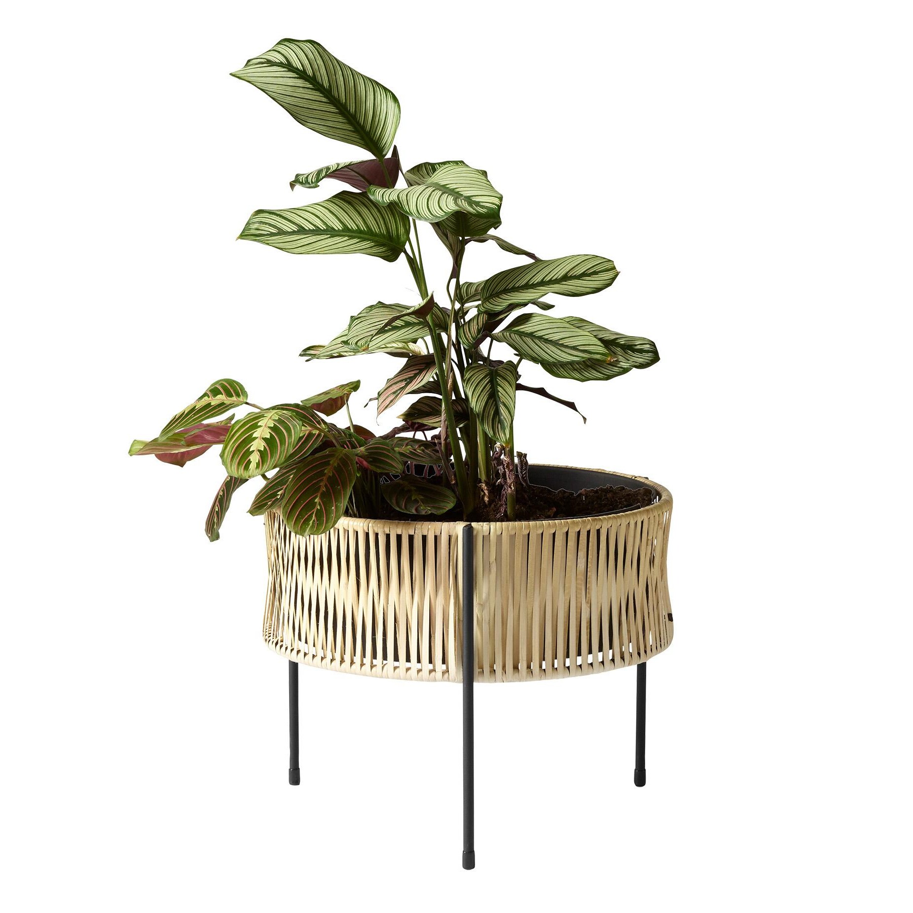 Umanoff 32.5 Planter