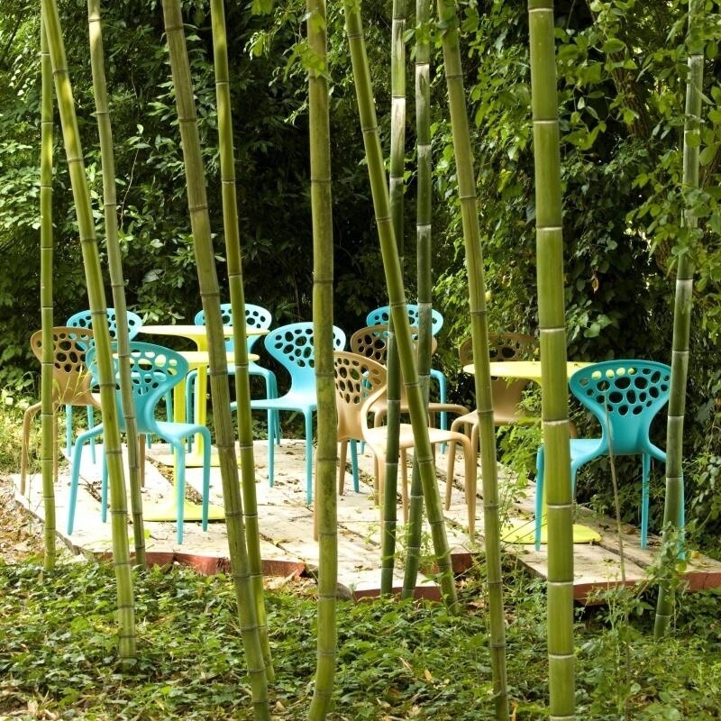 Supernatural Chair Set of 4