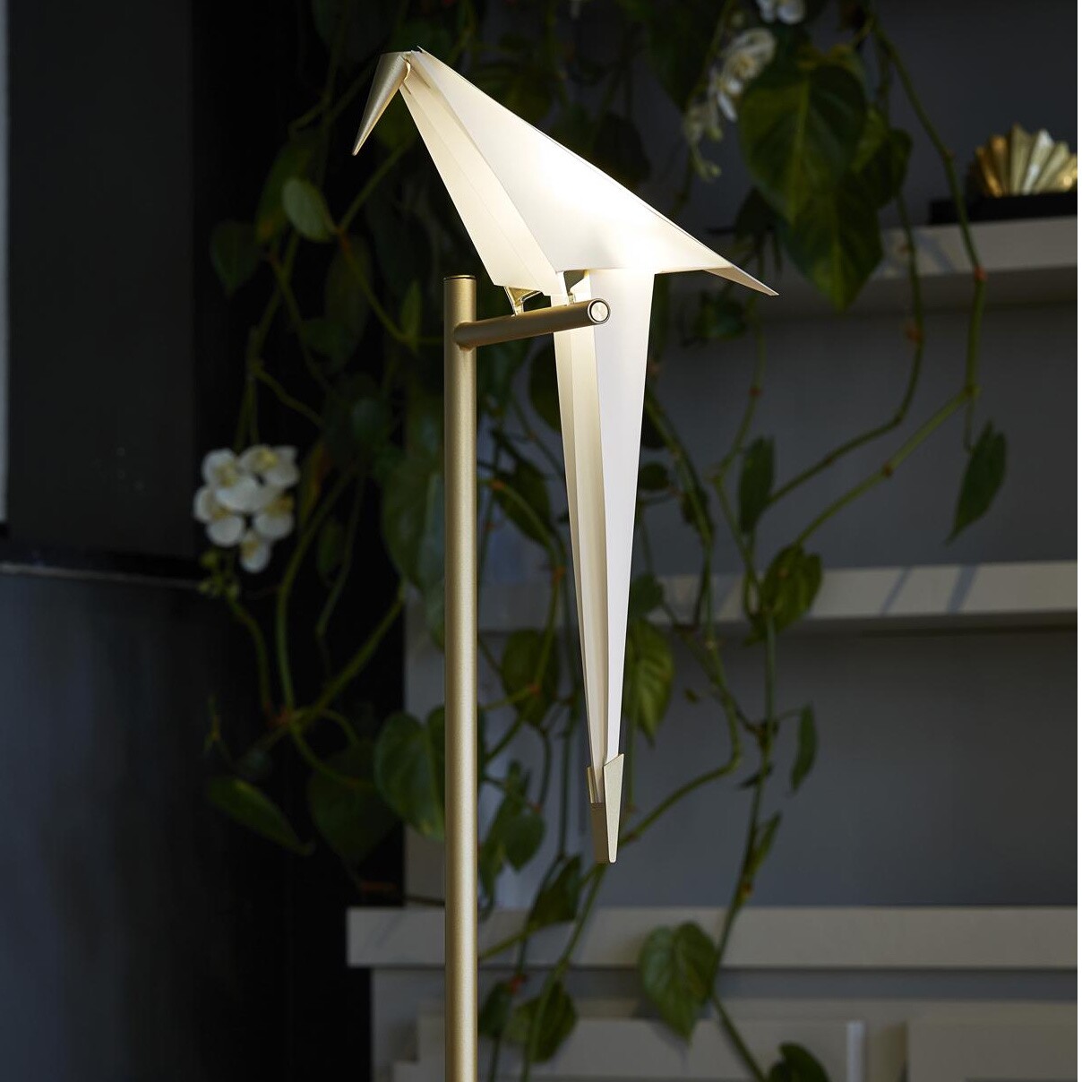 Perch Light LED Table Lamp