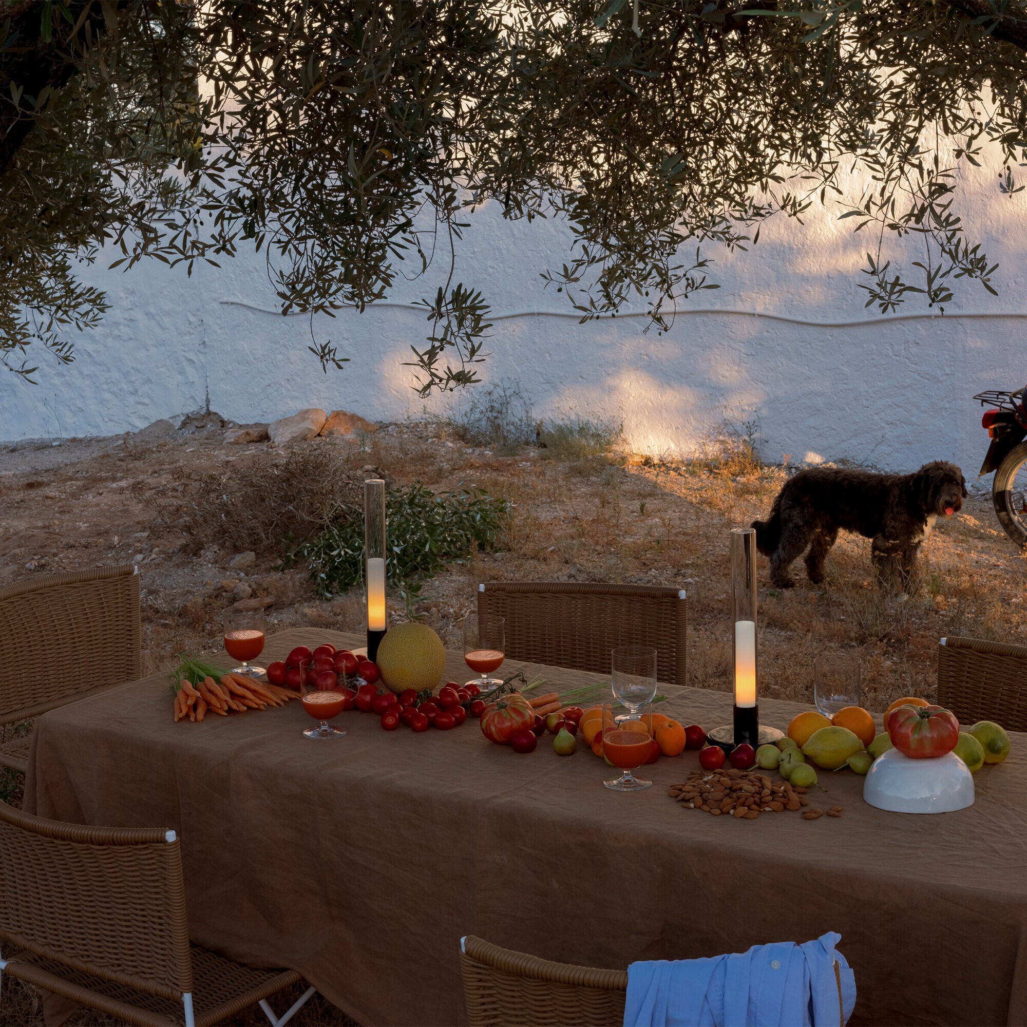 Sylvestrina LED Lamp with Battery