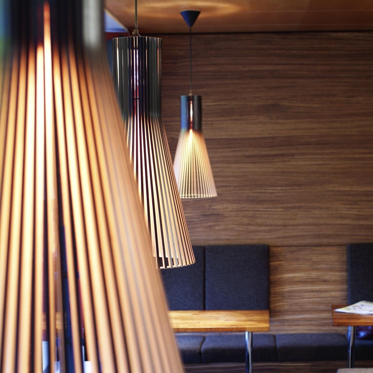 Secto 4200 Suspension Lamp