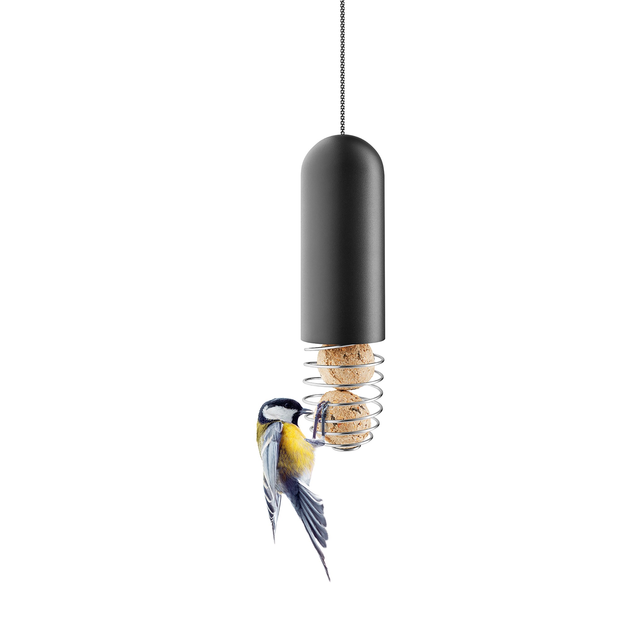 Suet Bird Feeder Hanging