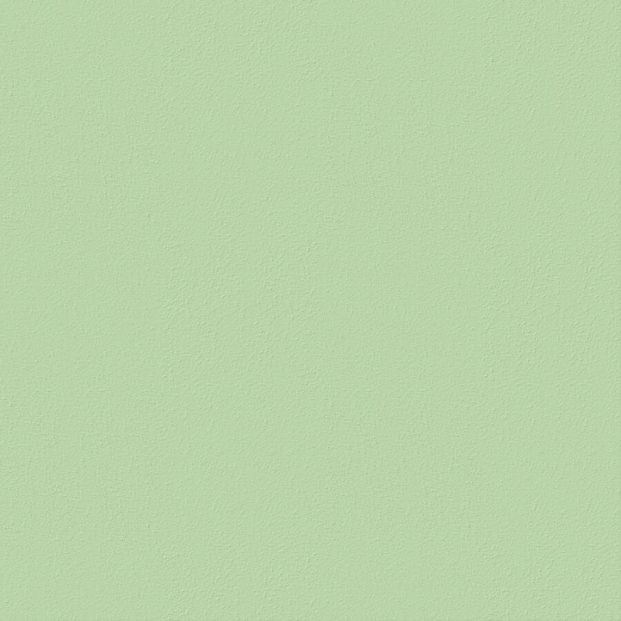 Remo Plastic Garden Chair unicoloured